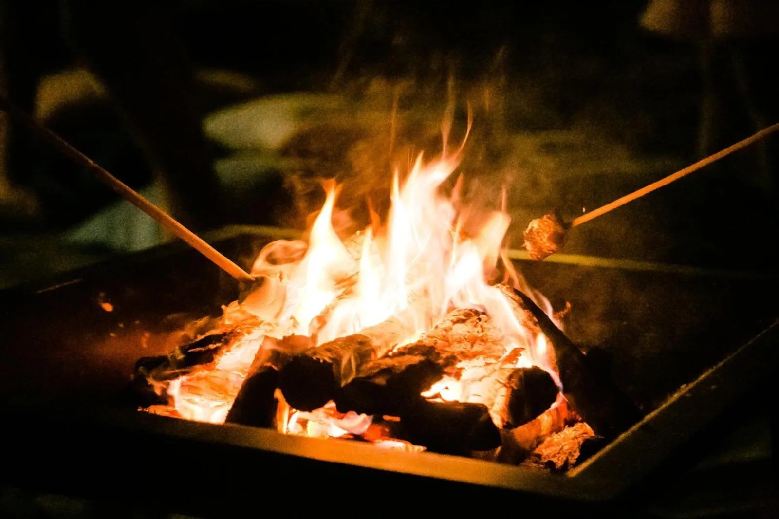 Activities in Pousada Vitorino