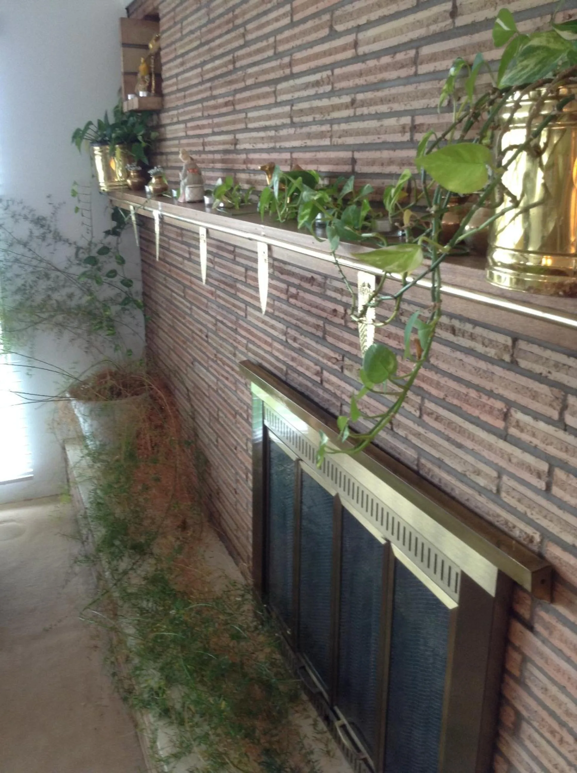 Lobby or reception in Plaza Inn