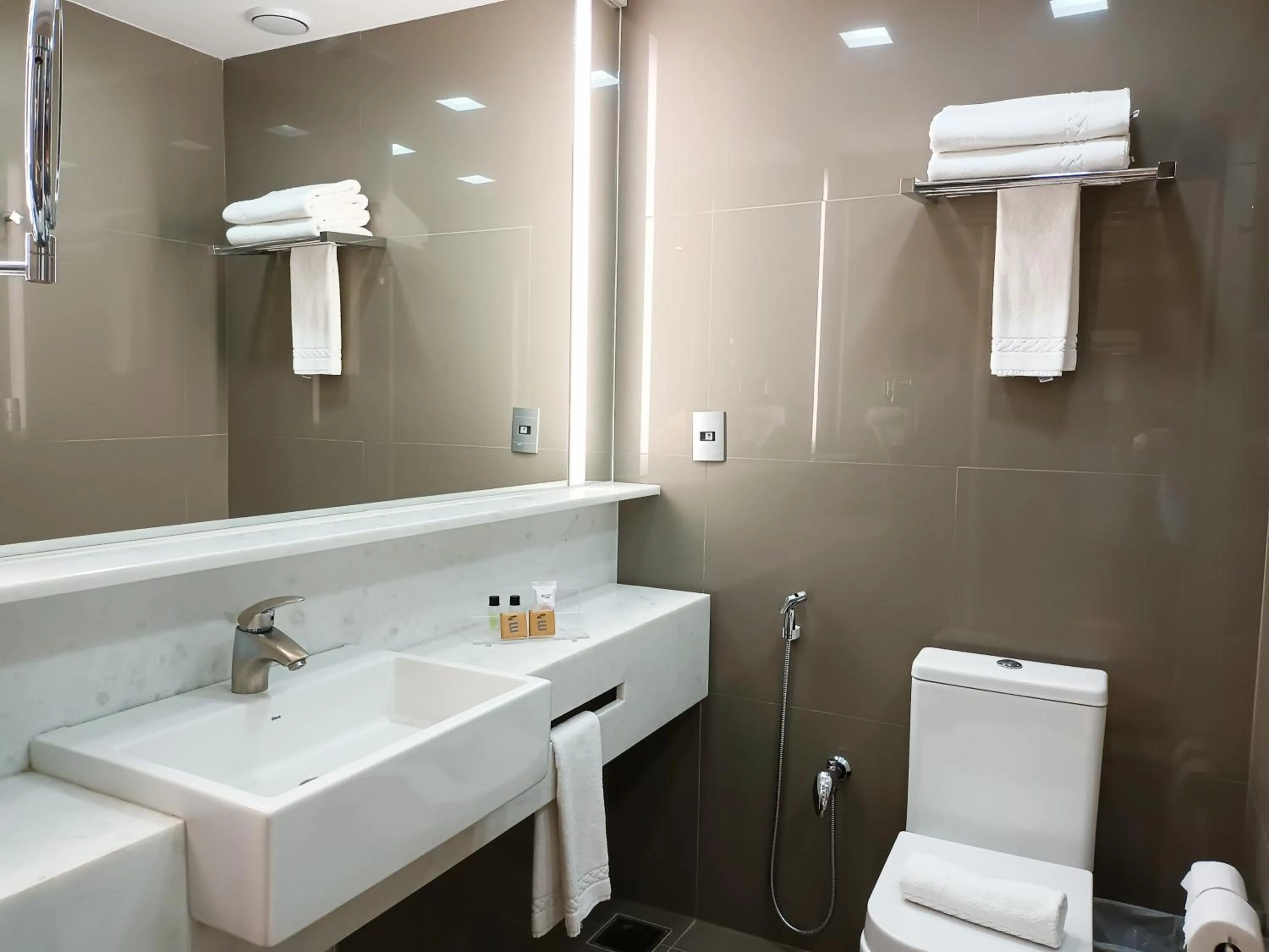 Toilet in Mercure Uberlândia Plaza Shopping