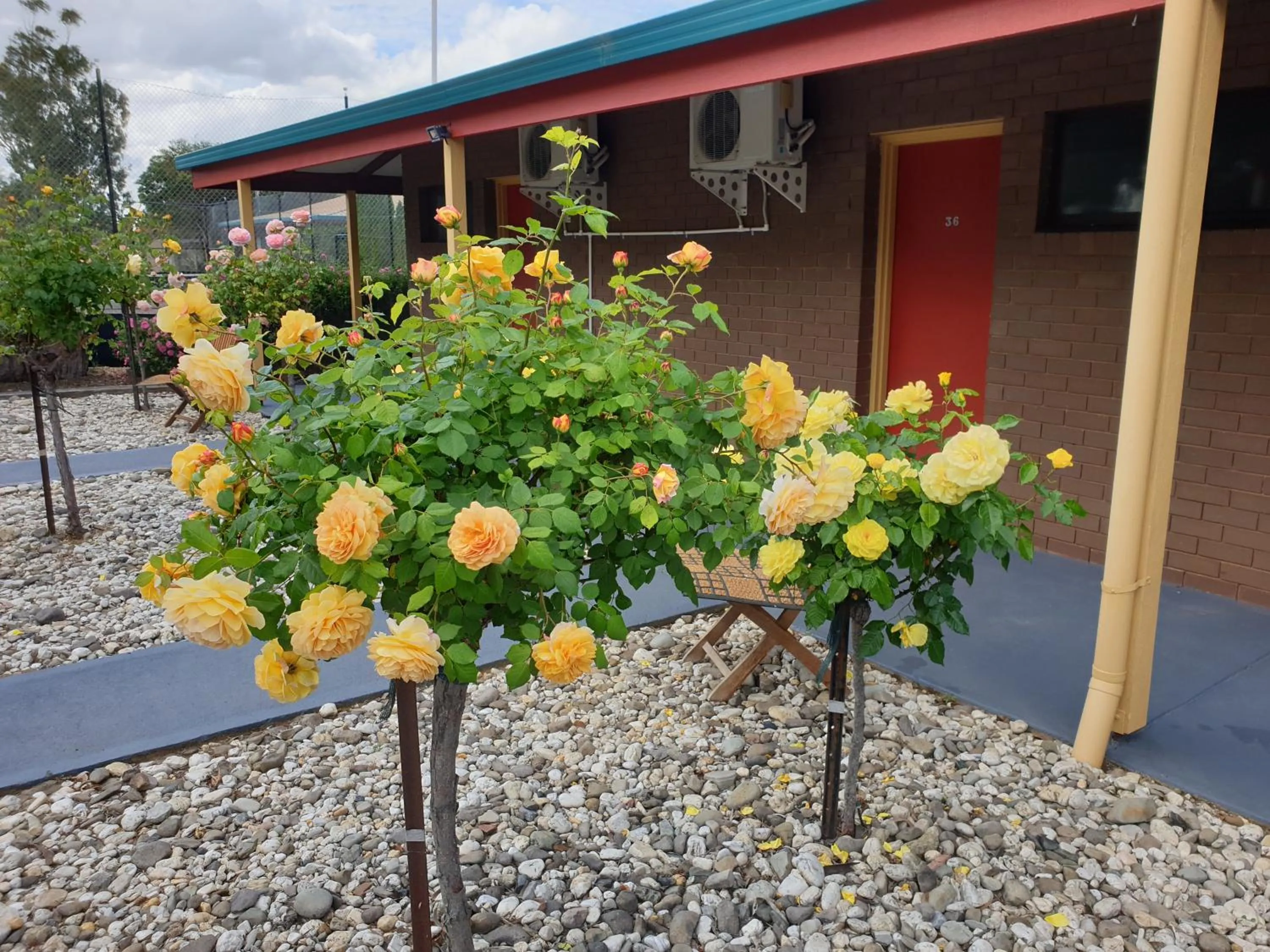Garden in Barooga Country Inn Motel