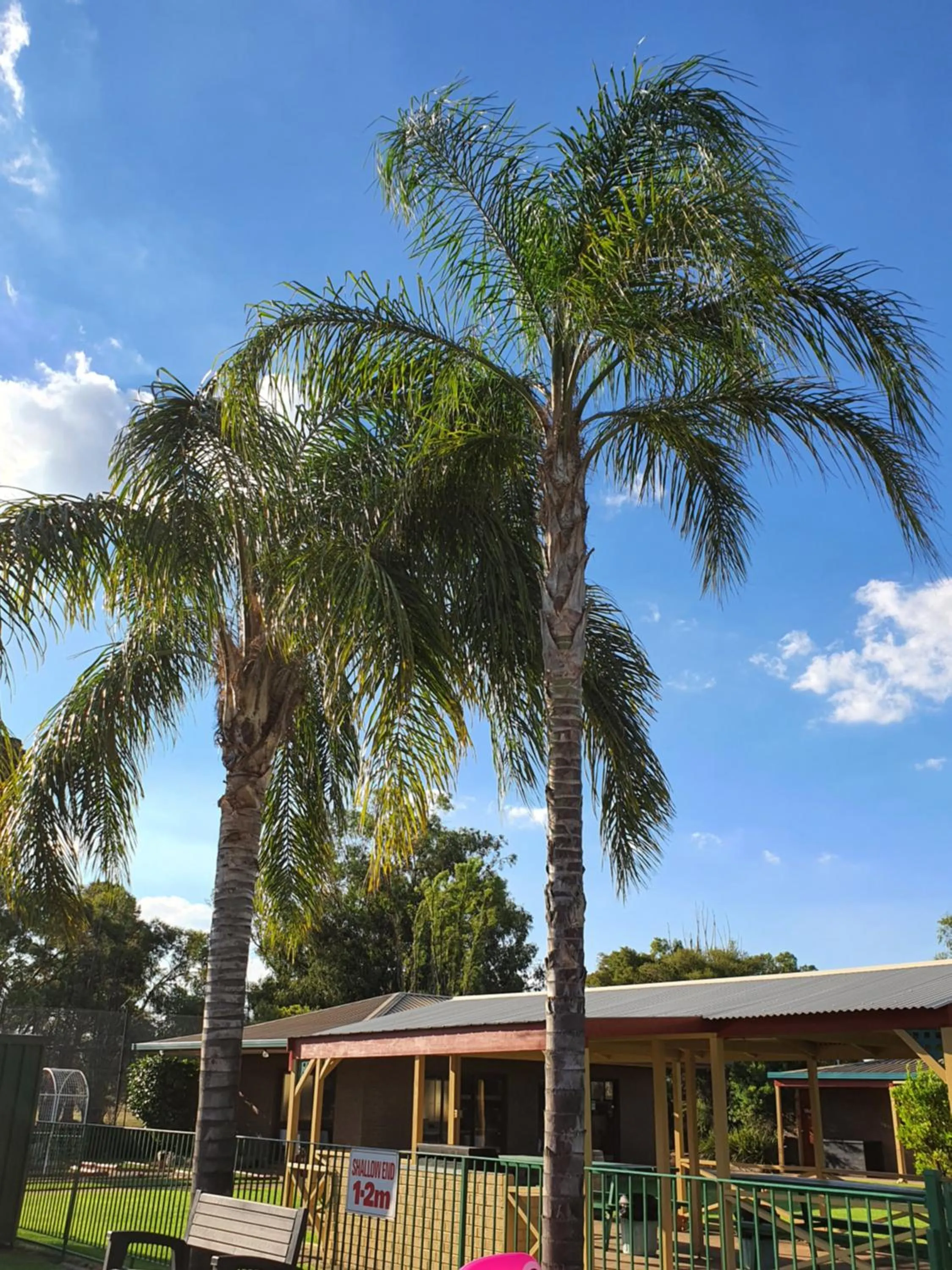 Garden view in Barooga Country Inn Motel