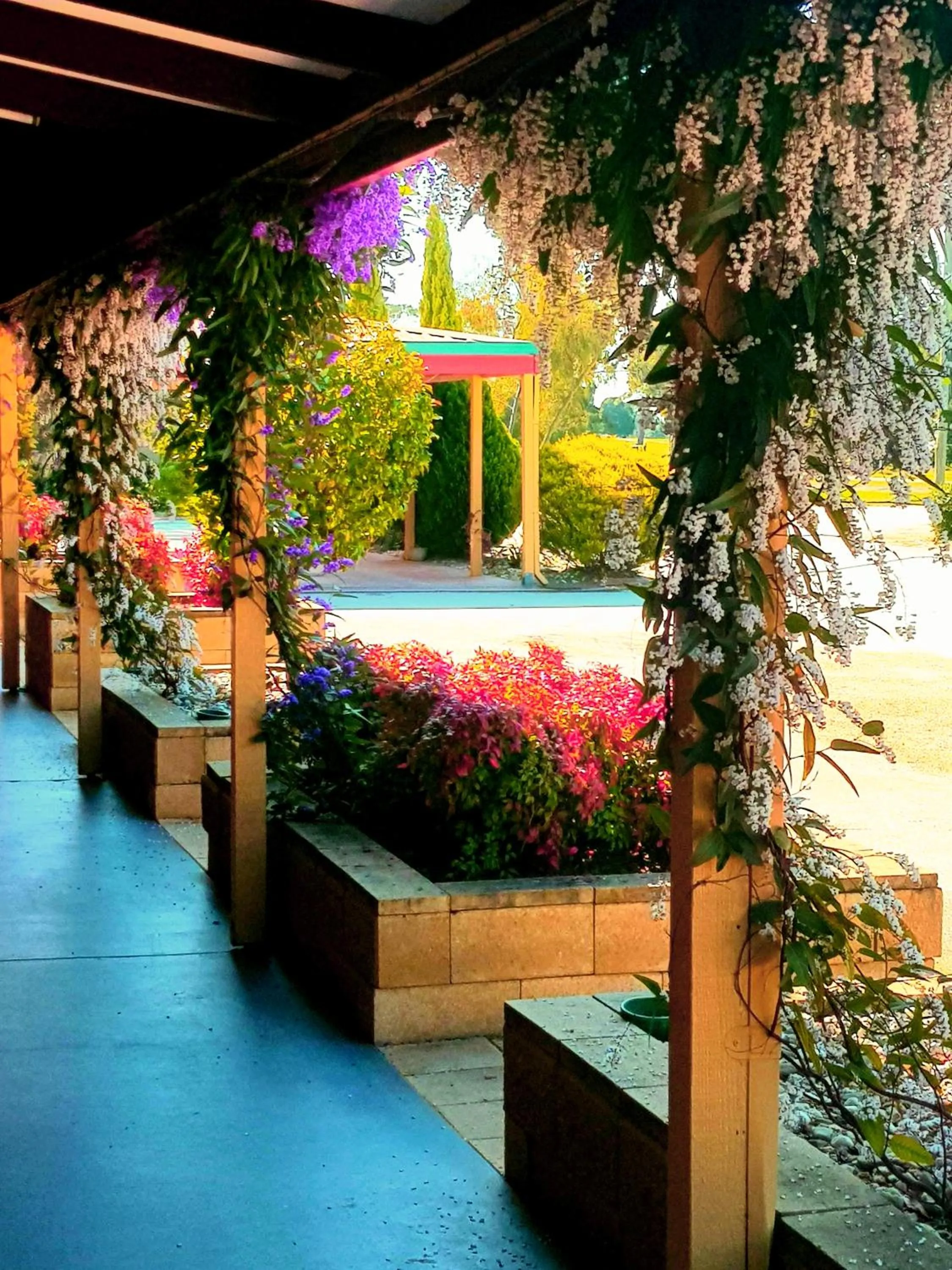 Property building in Barooga Country Inn Motel