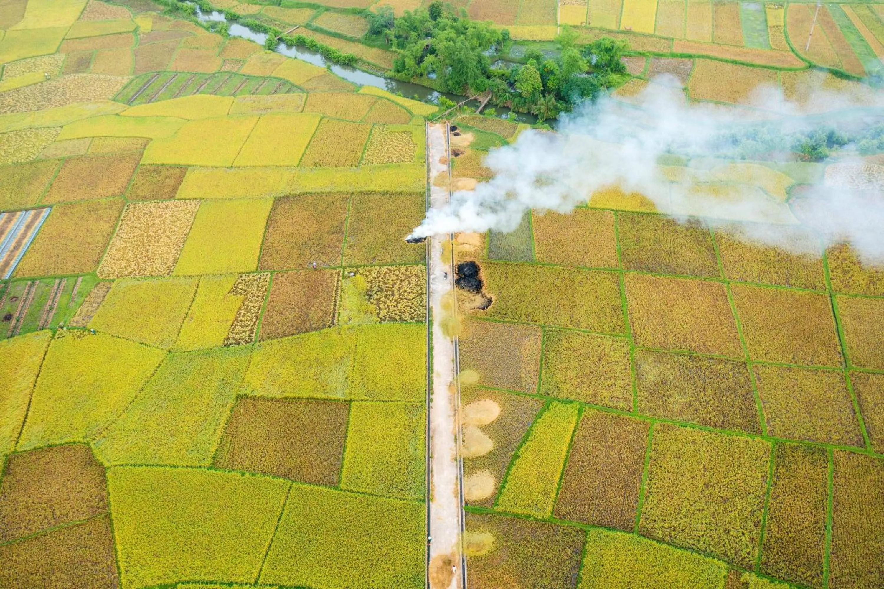 Other in Mai Chau Lodge