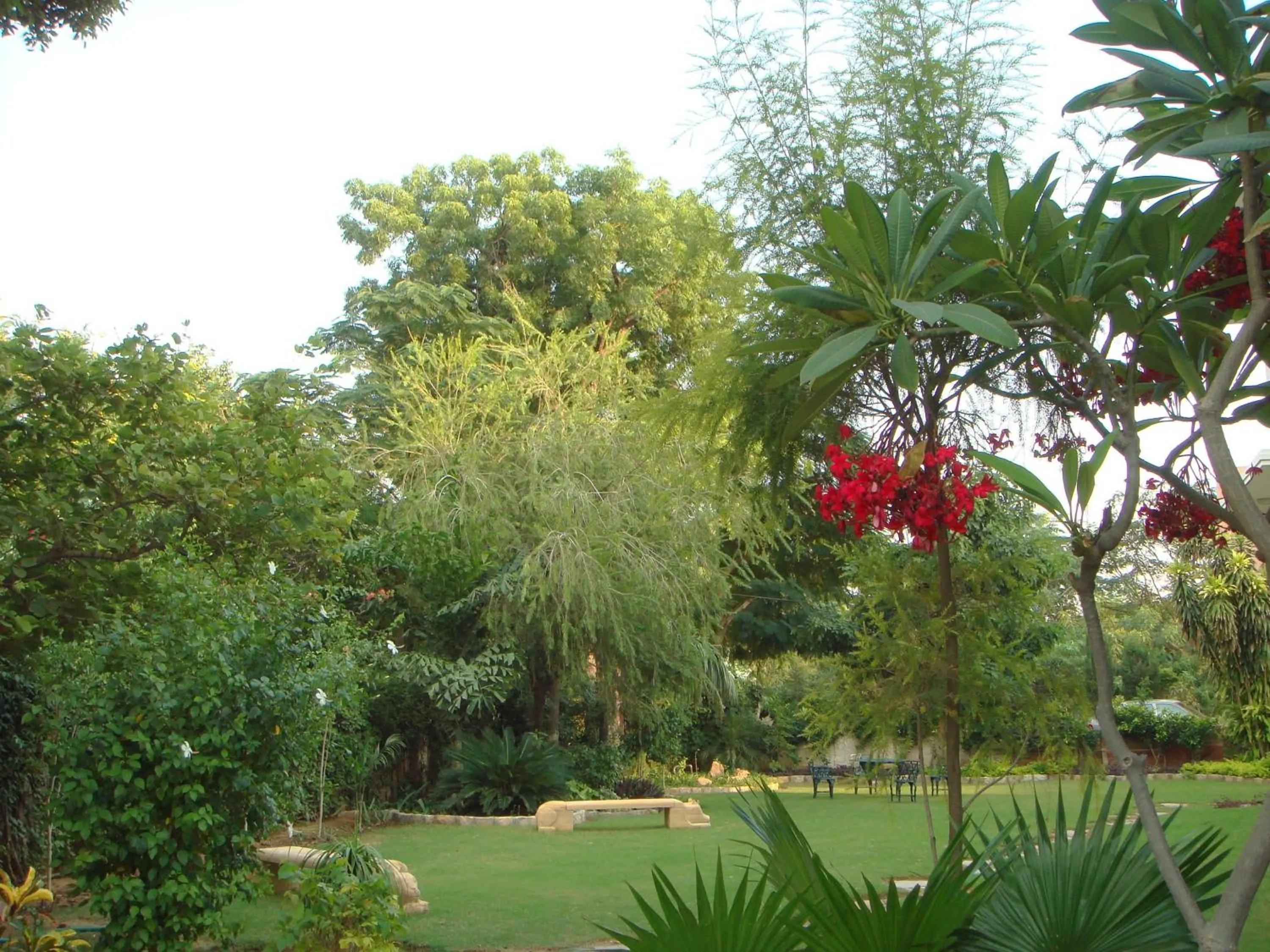 Natural landscape in Barwara Kothi