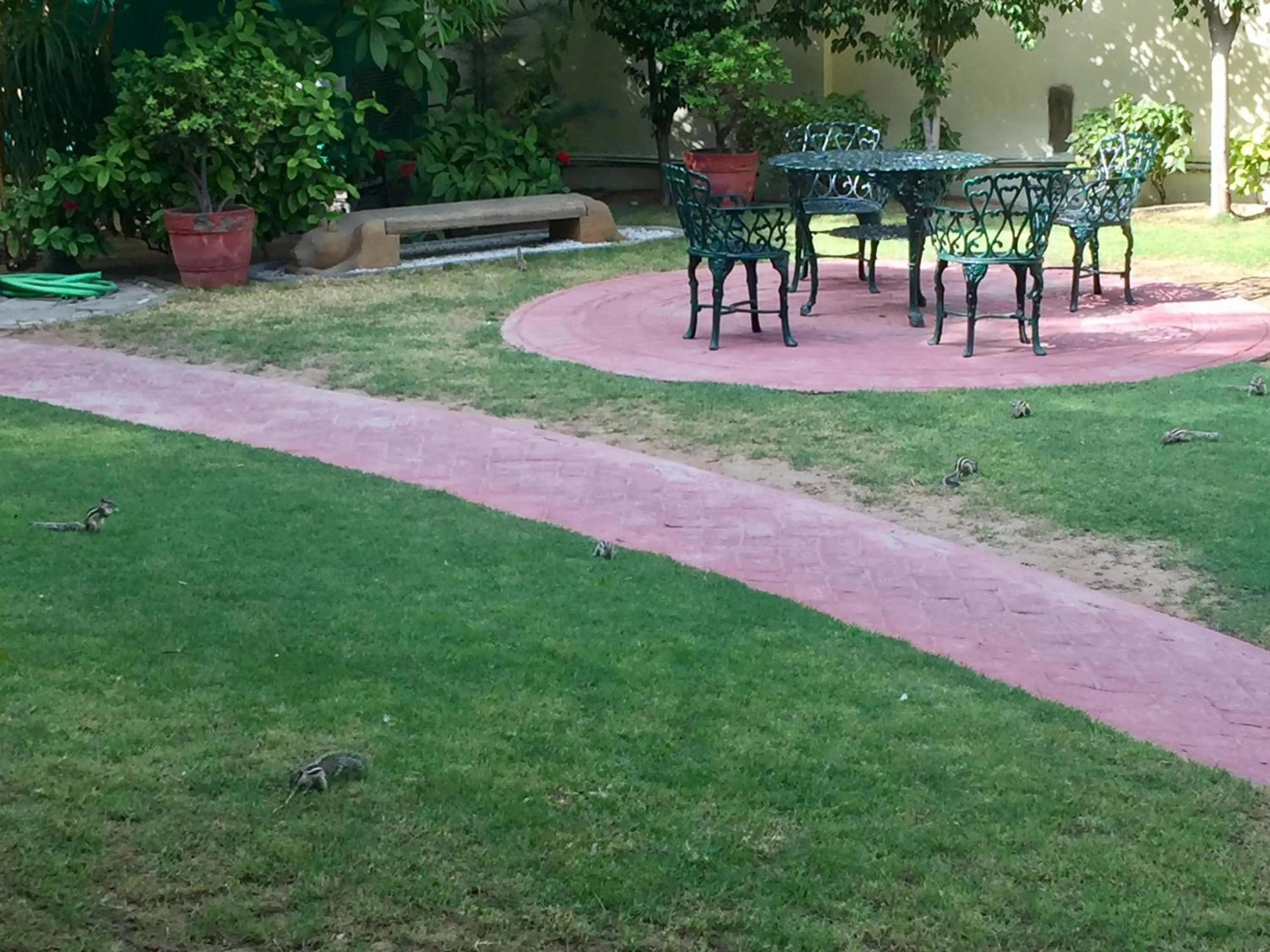 Garden in Barwara Kothi