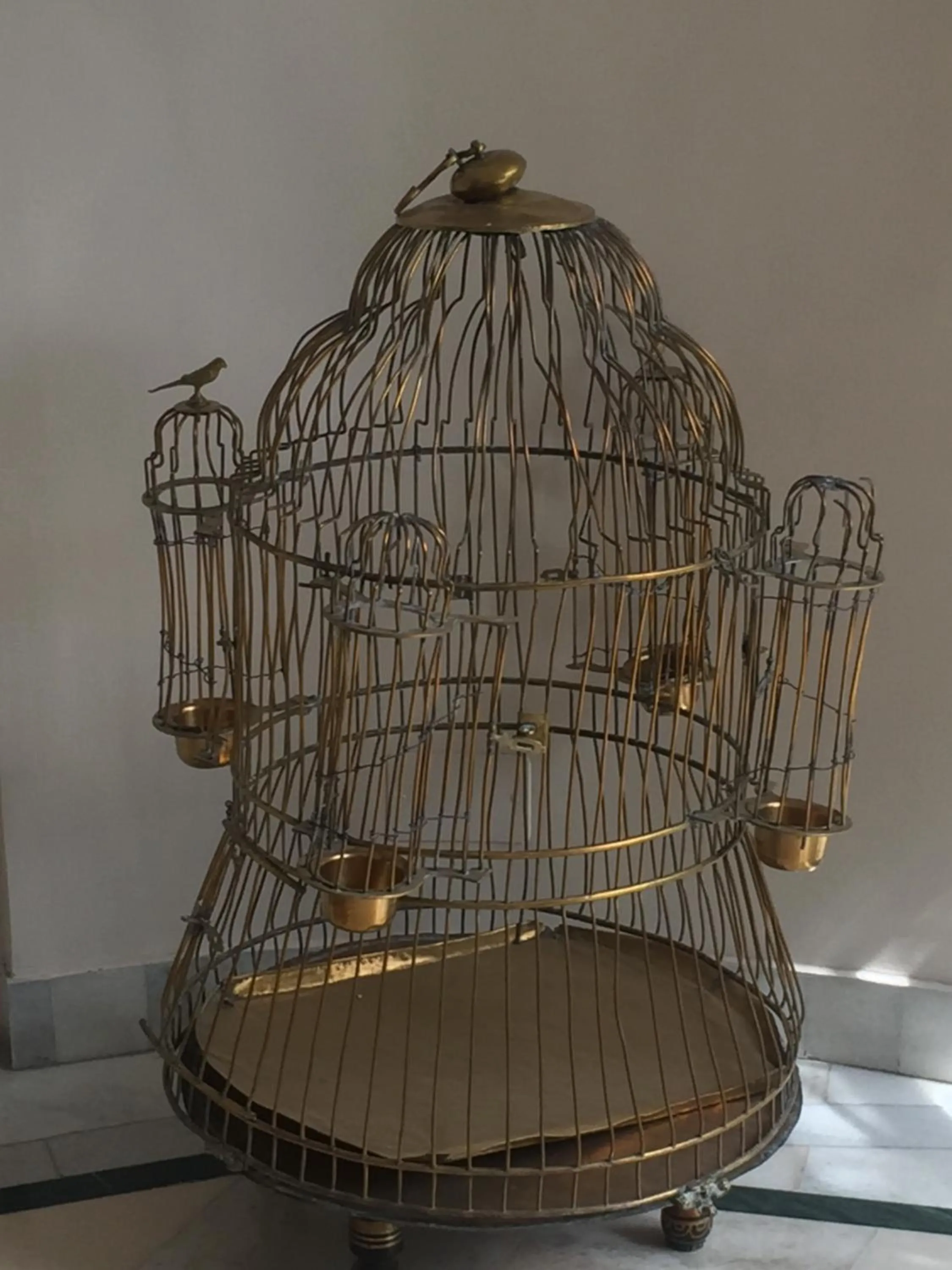 Patio in Barwara Kothi