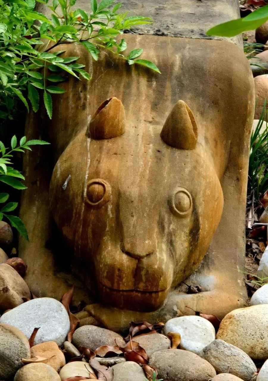 Garden in Barwara Kothi