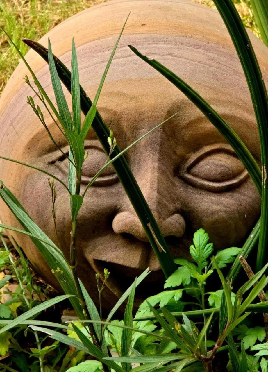 Garden in Barwara Kothi