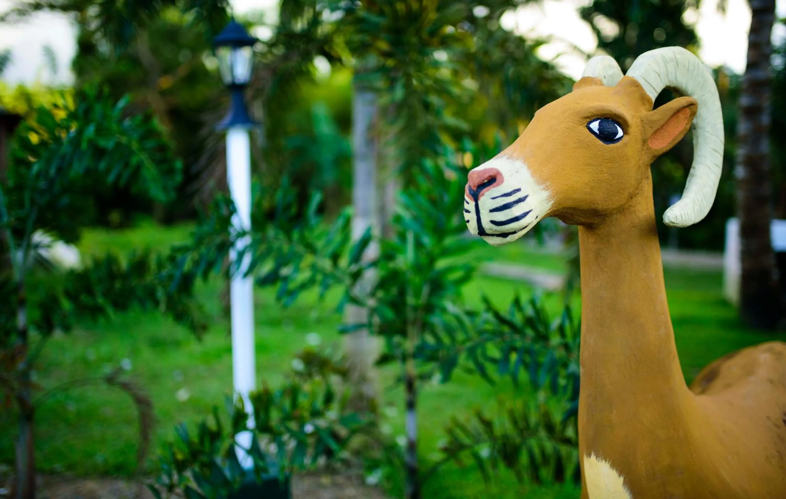 Property building in Freedom Eco Adventure Park powered by Cocotel