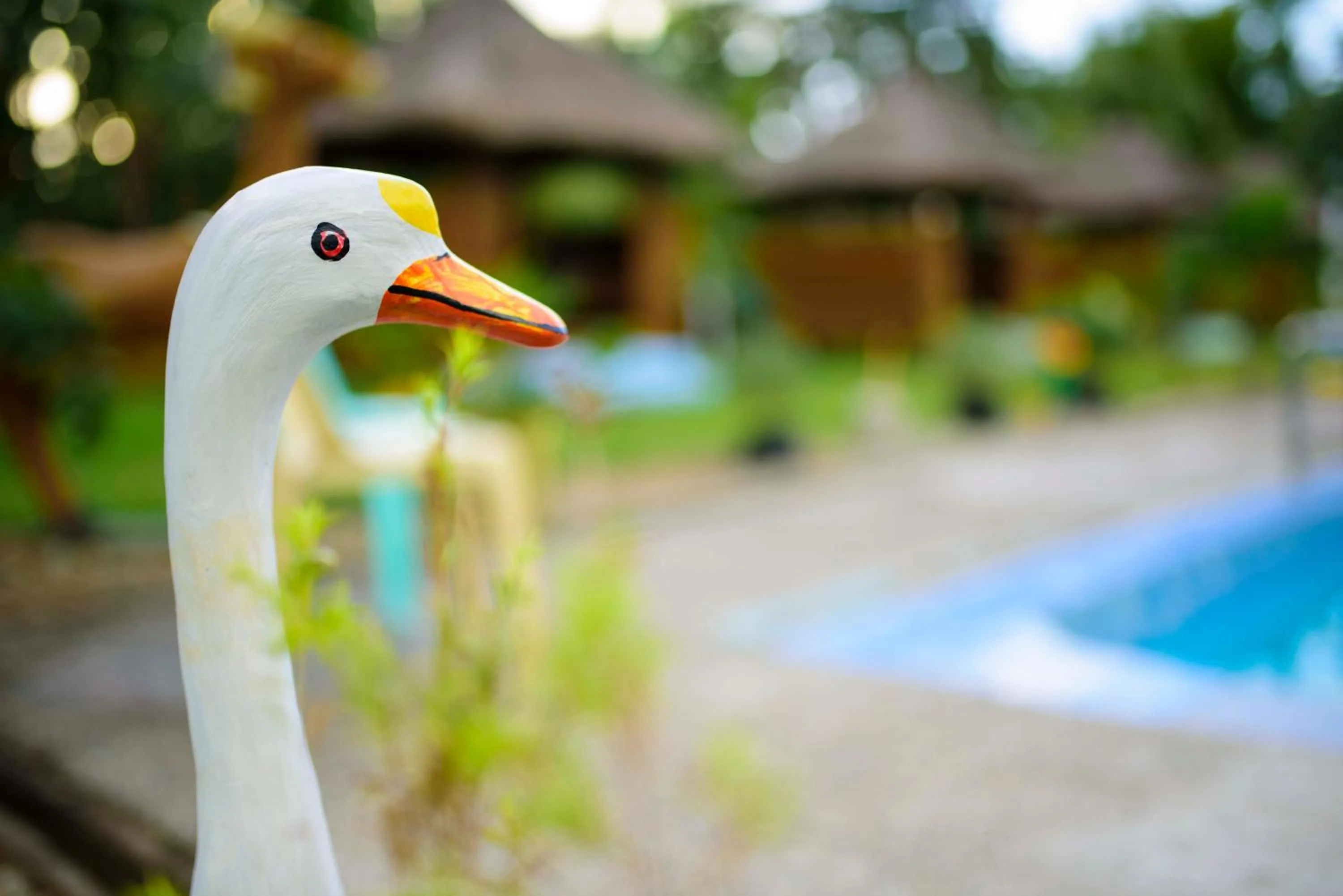 Property building in Freedom Eco Adventure Park powered by Cocotel