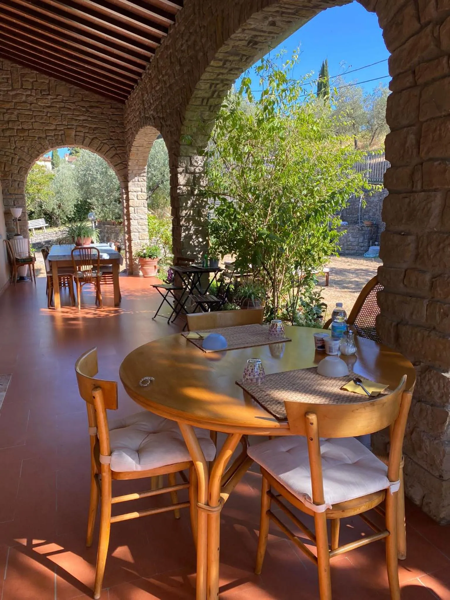 La collina degli olivi