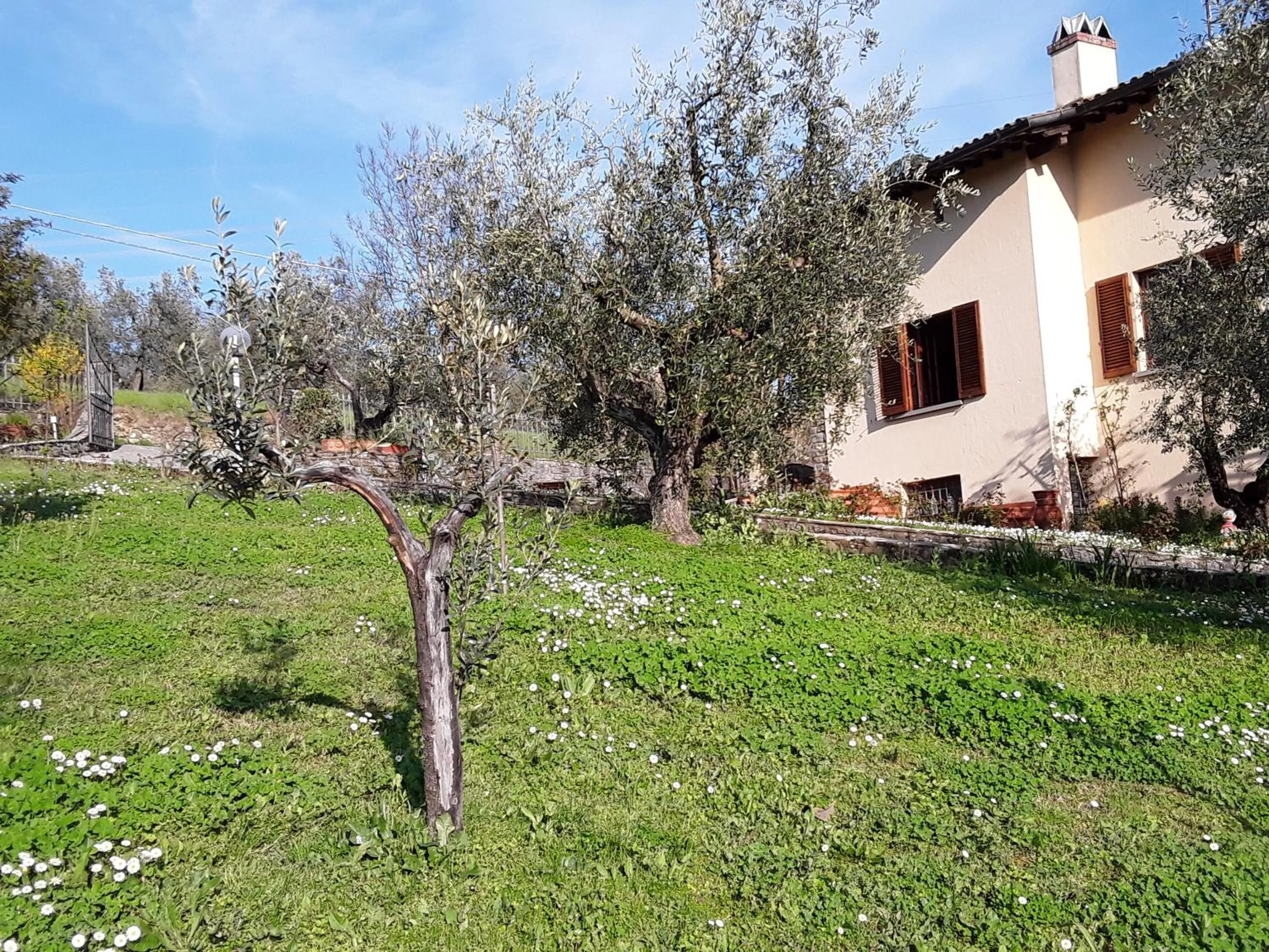 Property building in La collina degli olivi