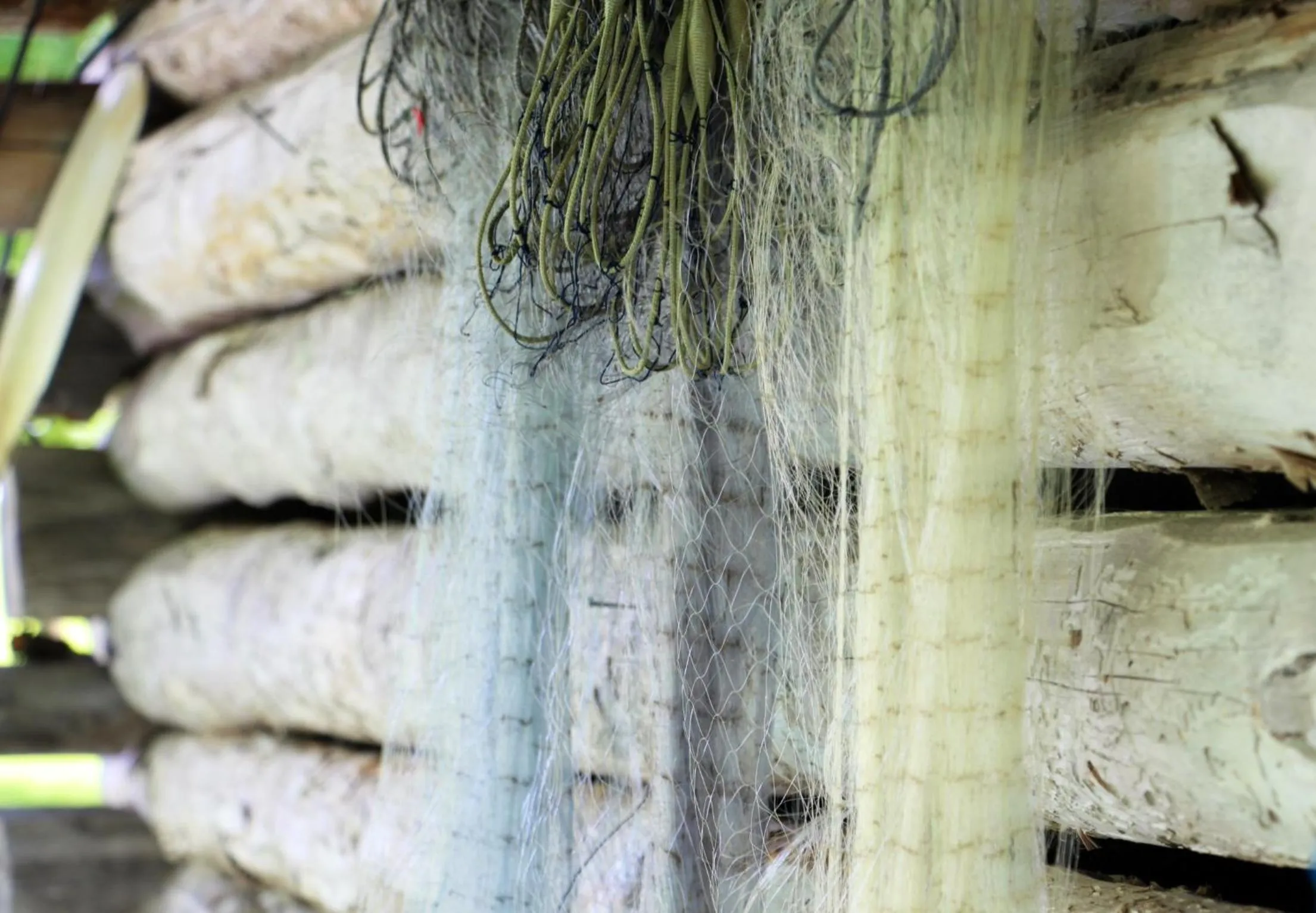 Isokenkäisten Klubi - Wilderness Lodge