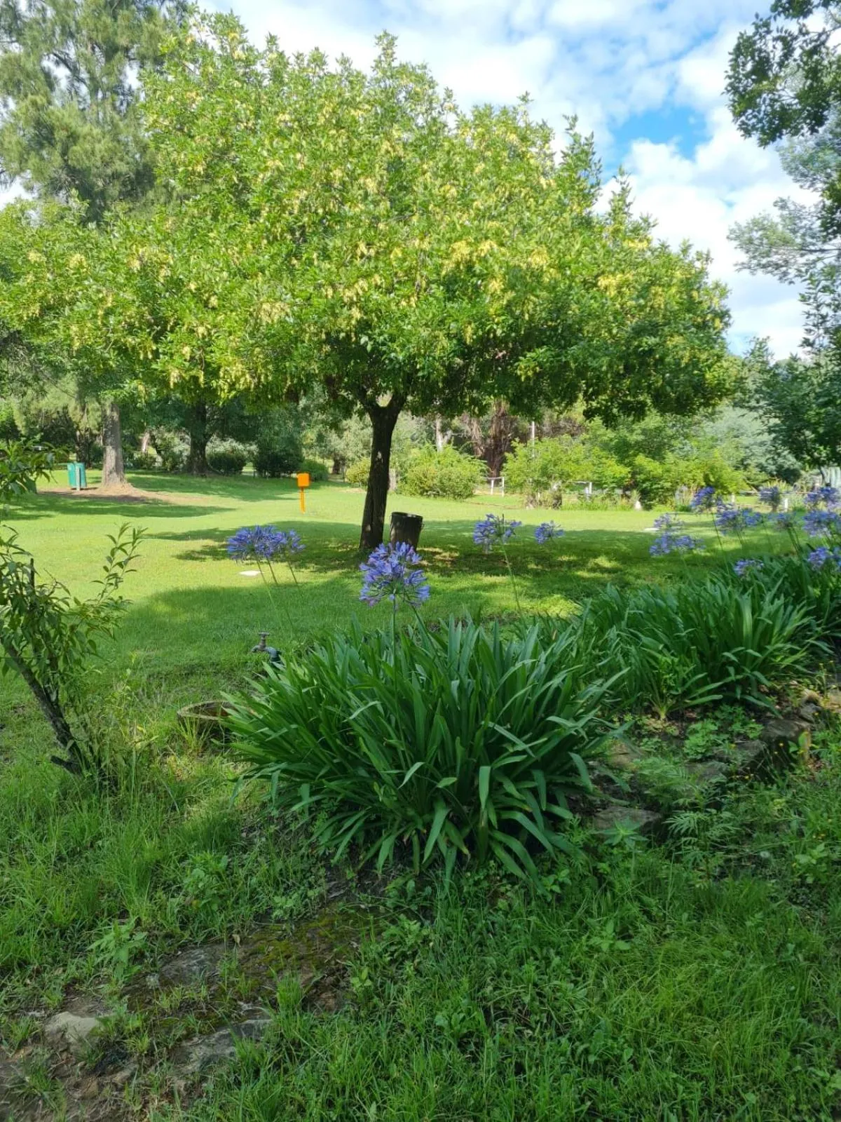 Day in Little Rock Resort