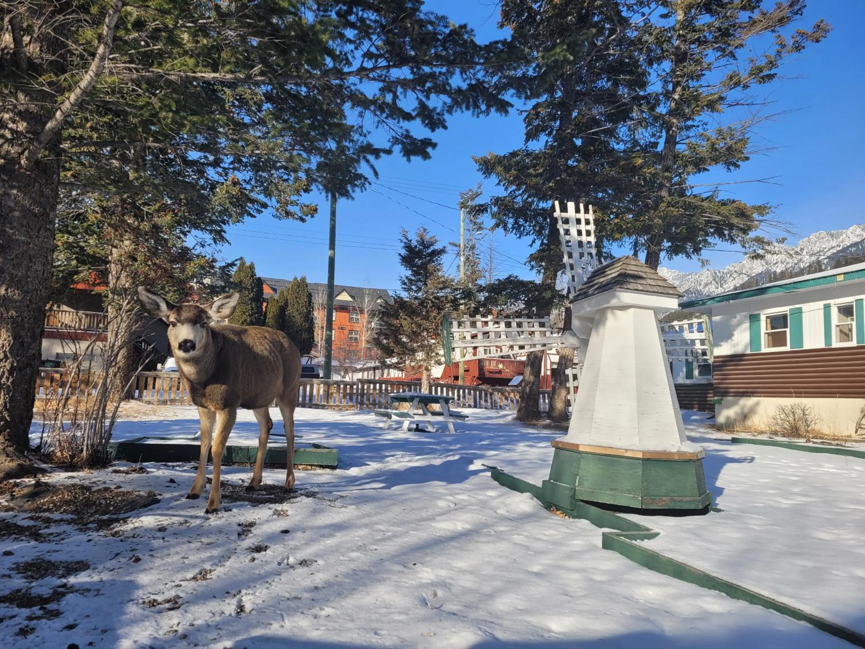 Winter in Lido Motel