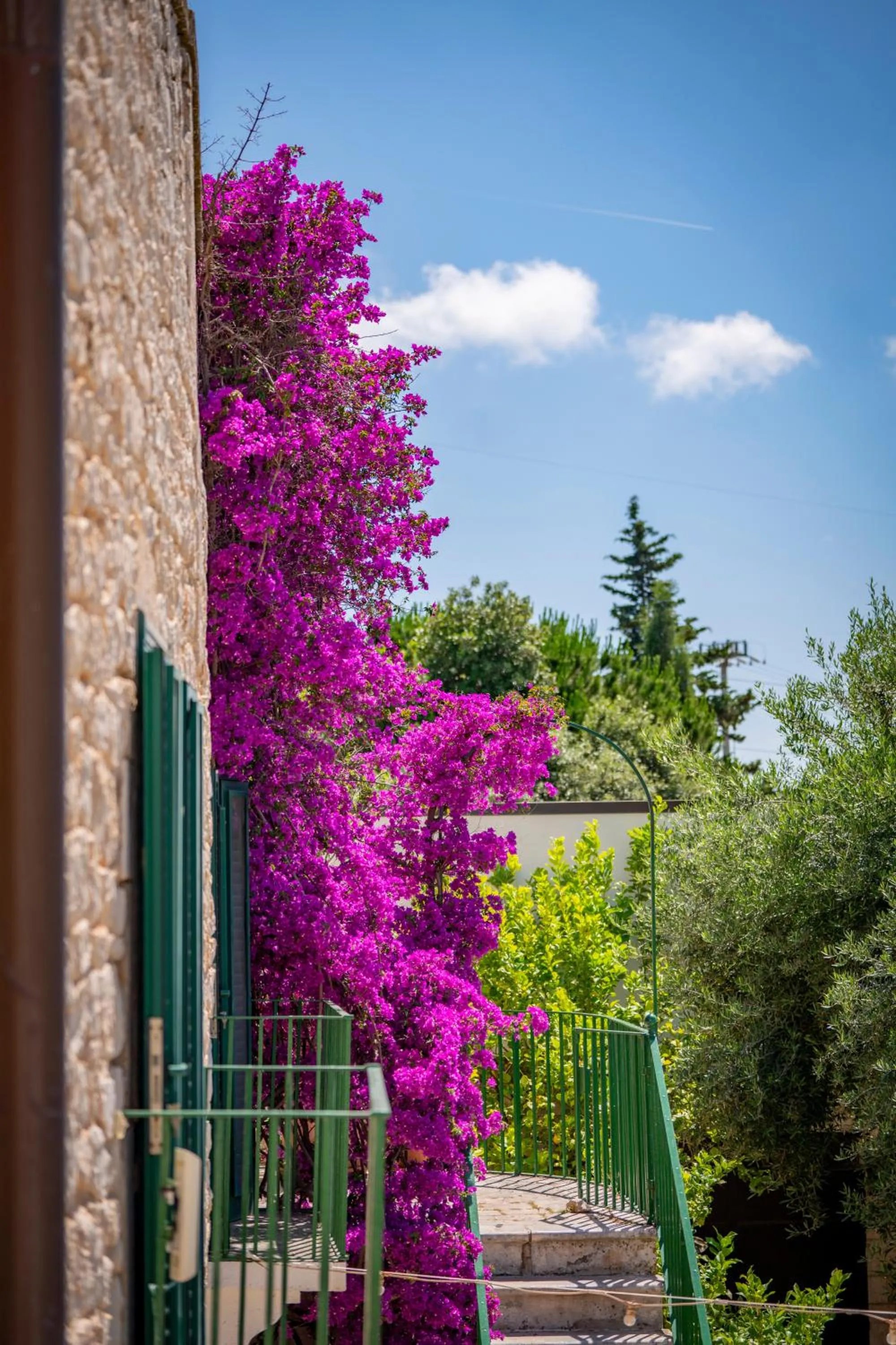 Masseria Montepaolo Dimora di Charme