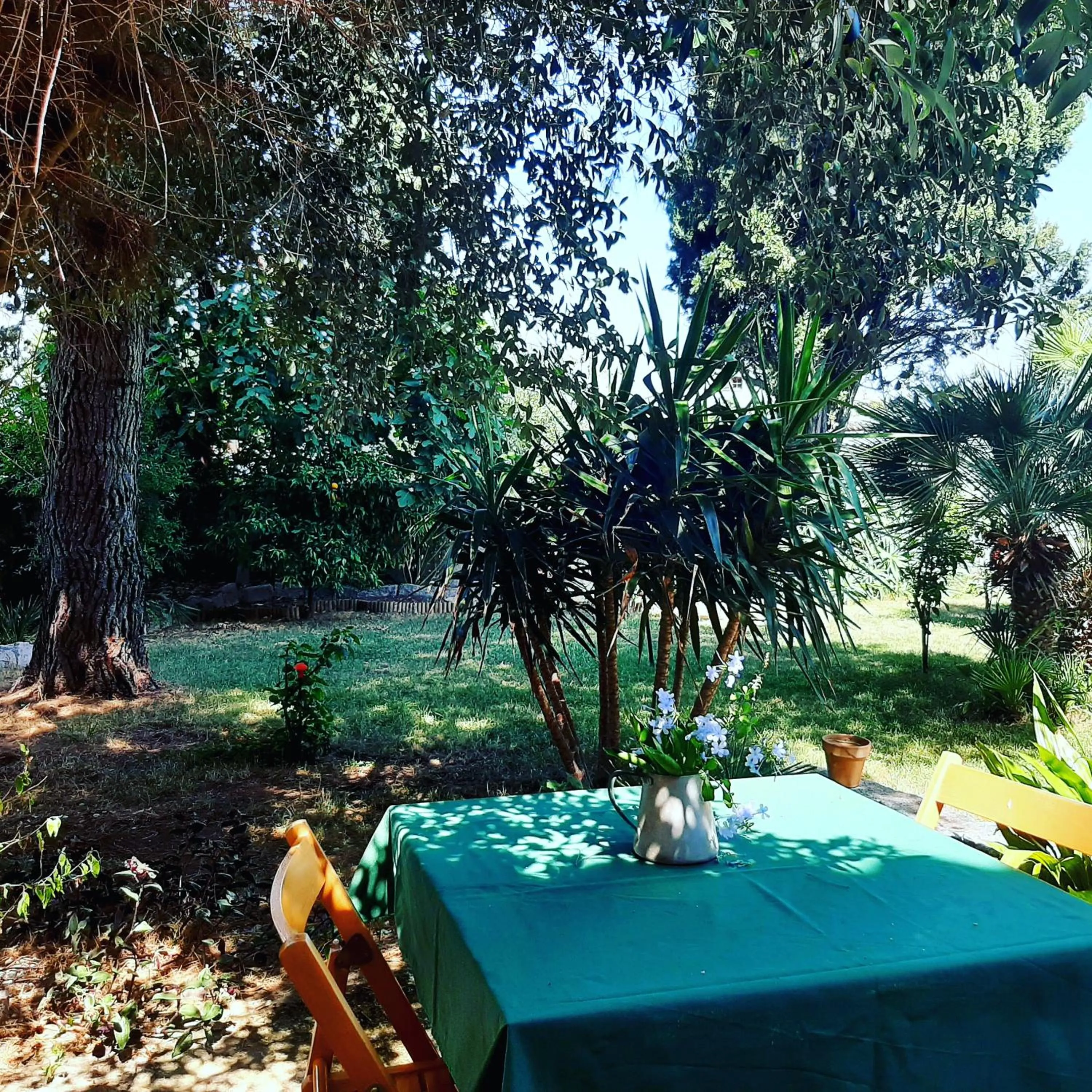 B&B L'amaca della felicità