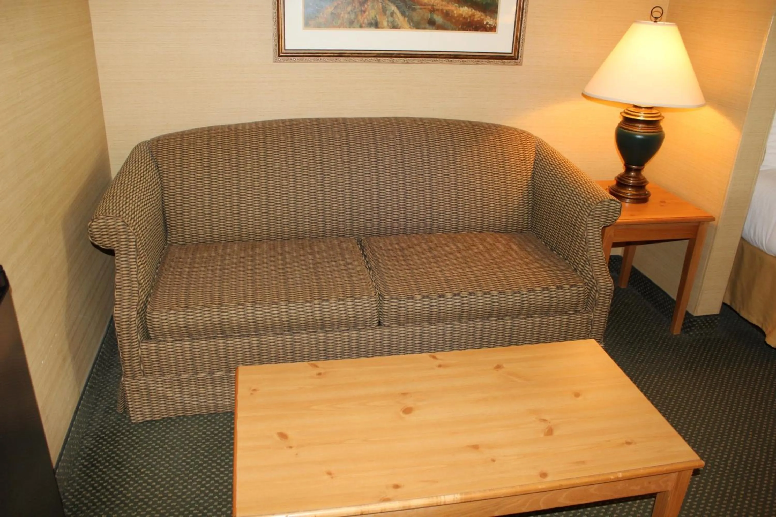 Photo of the whole room in Holiday Inn Express Hotel & Suites Warrenton by IHG