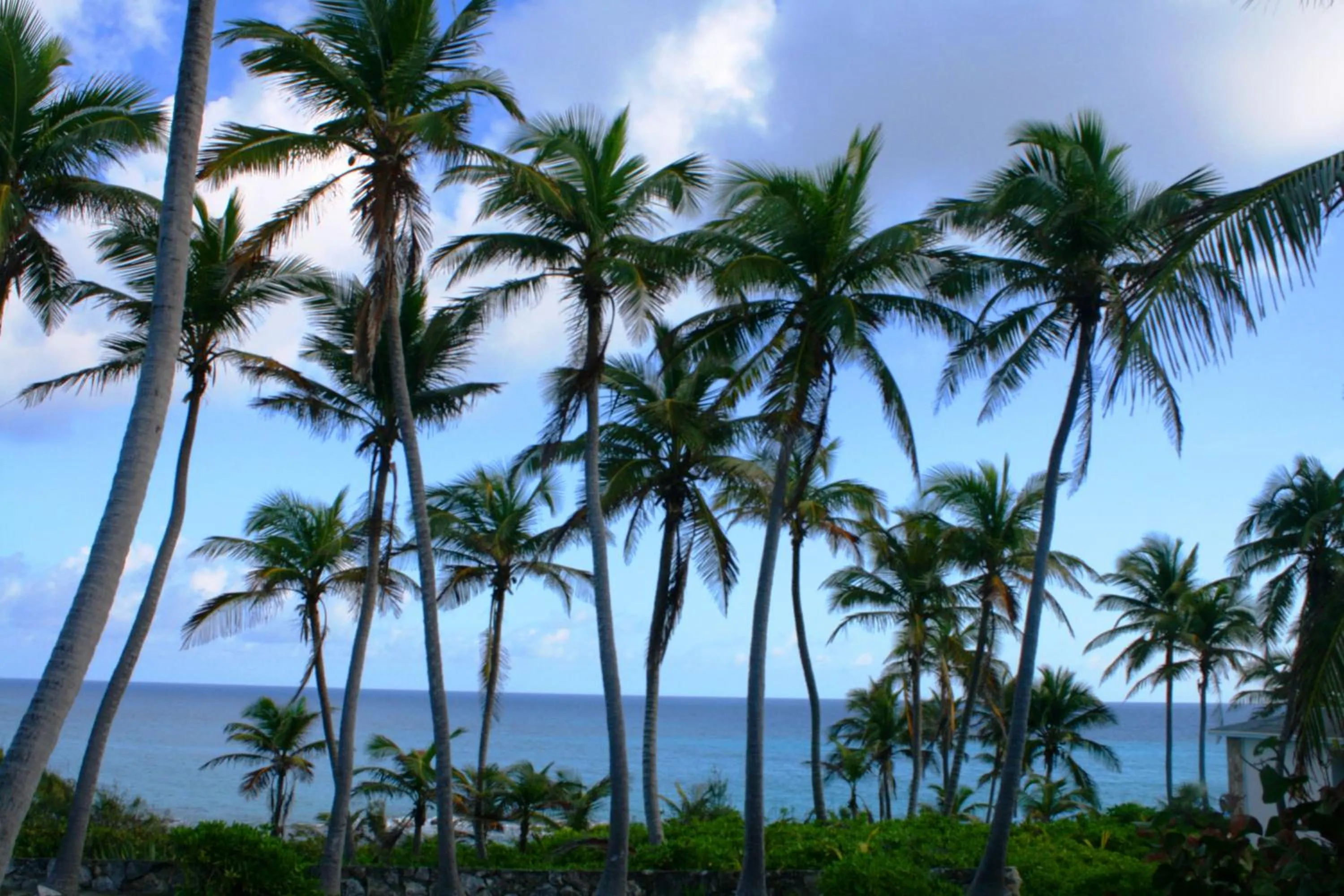 Balcony/Terrace in Stella Maris Resort Club