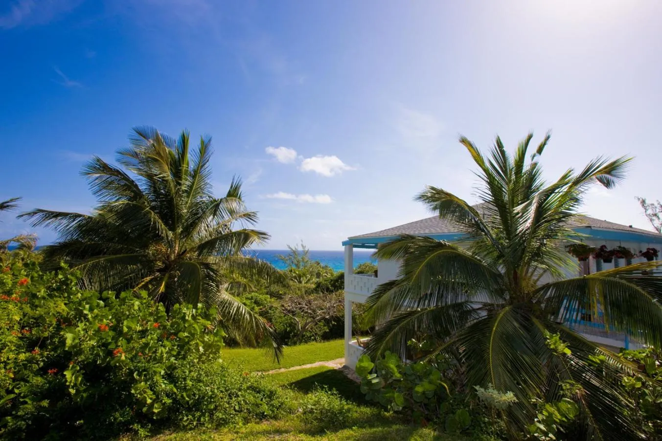 Bird's eye view in Stella Maris Resort Club
