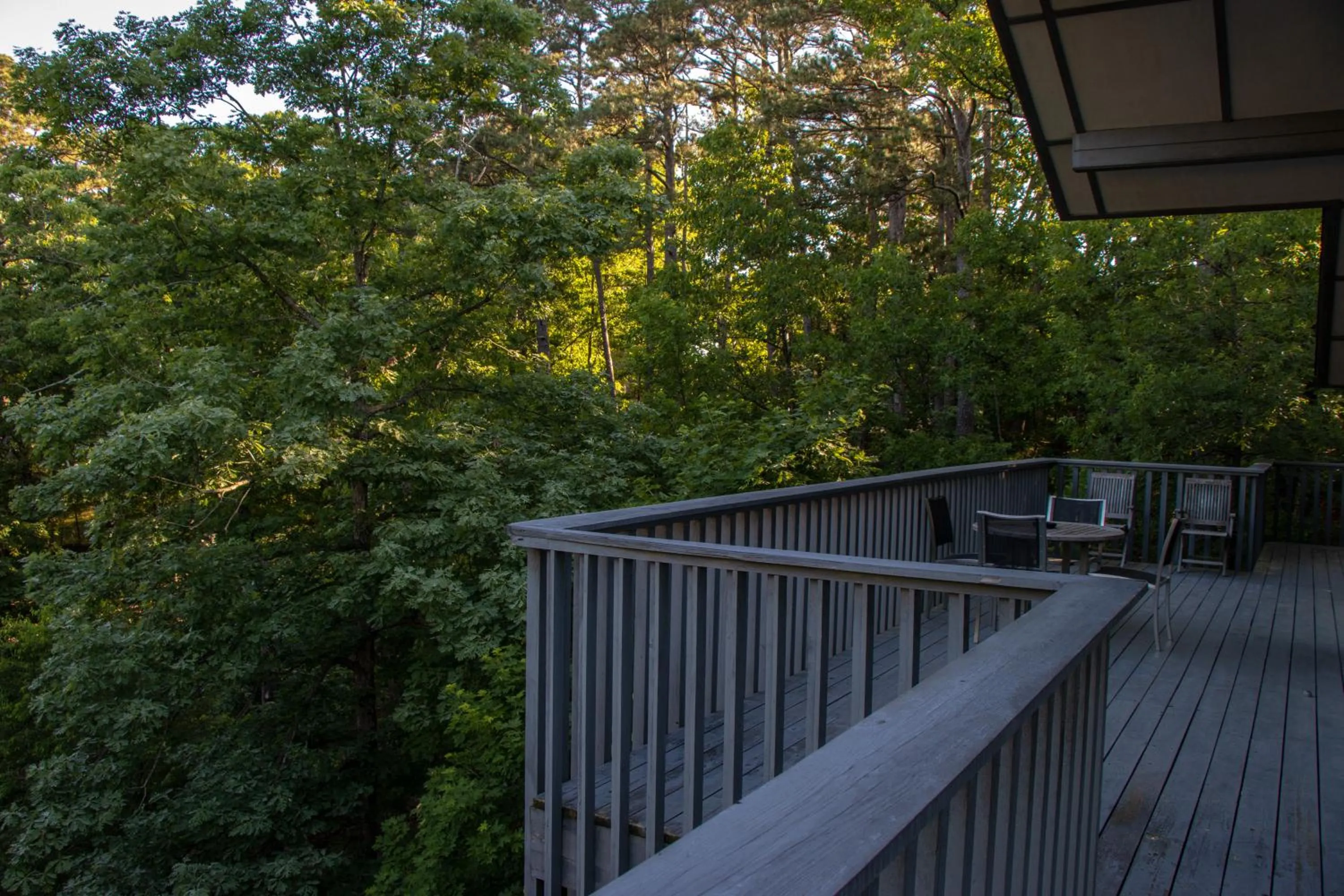 1886 Crescent Hotel and Spa