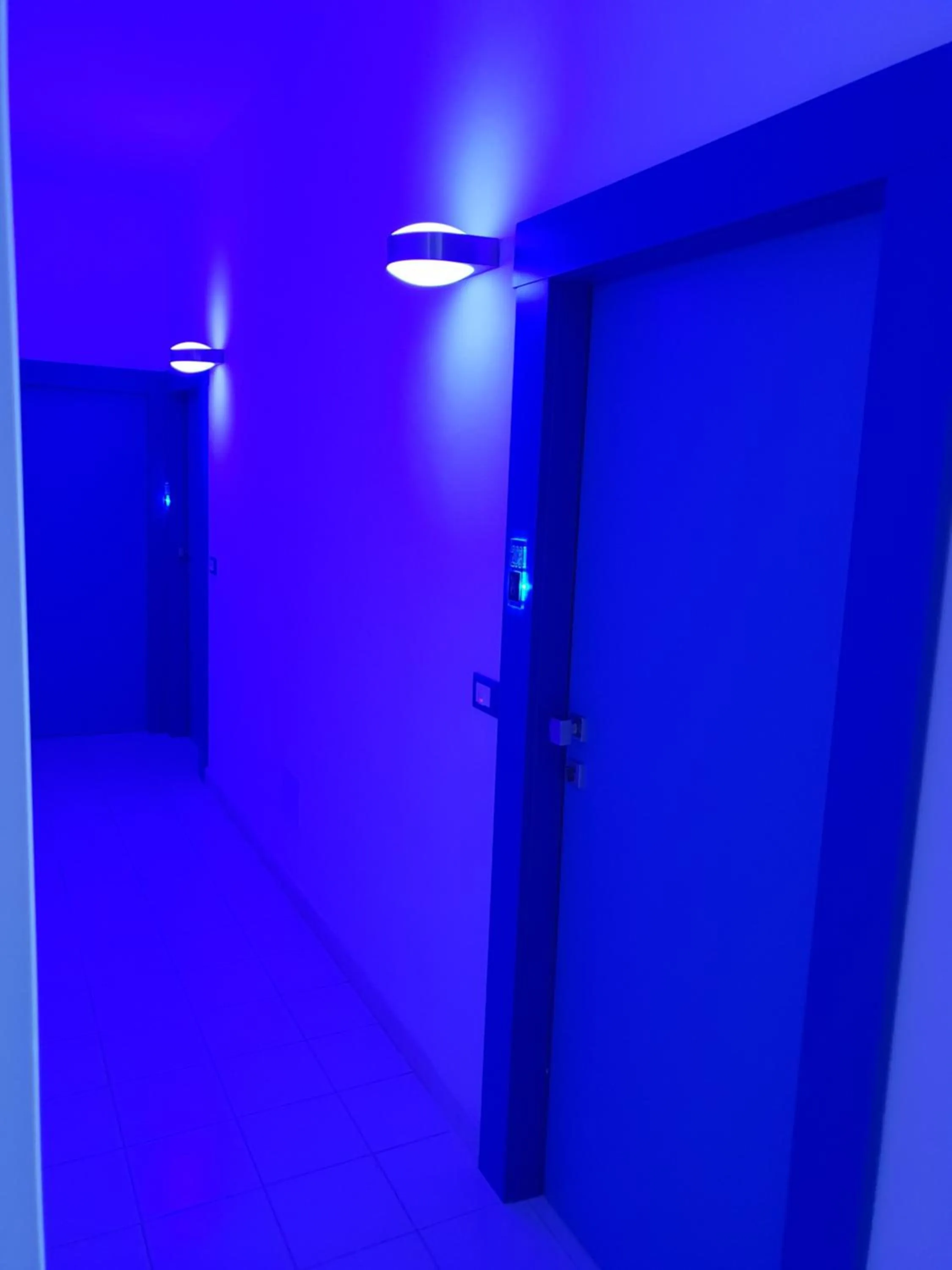 Area and facilities in Hotel Caraibisiaco sul mare