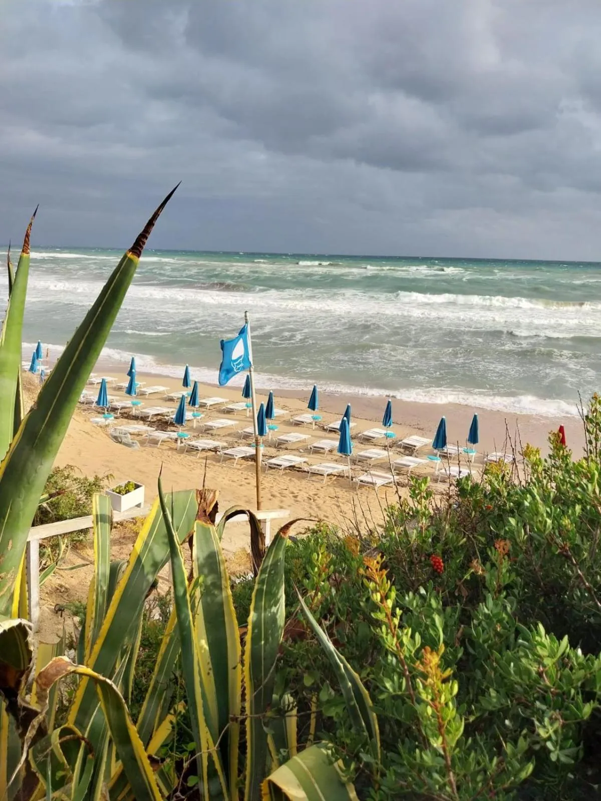 Beach in Hotel Caraibisiaco sul mare