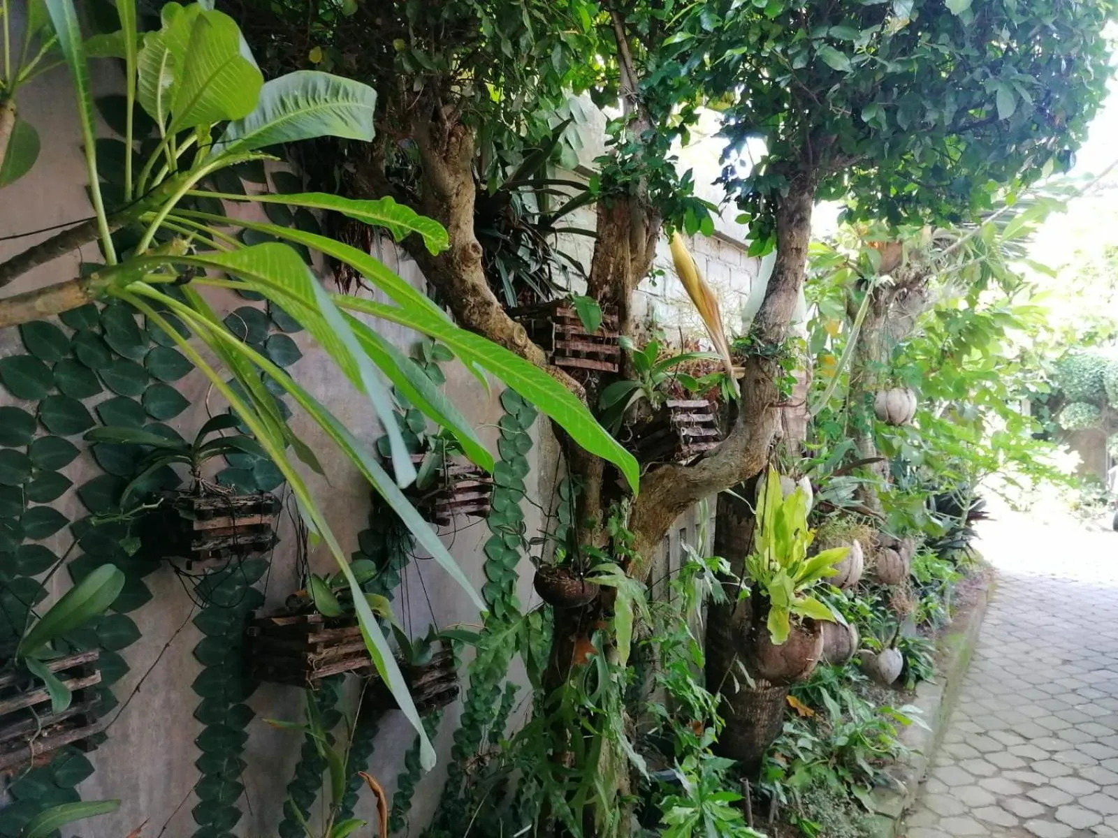 Property building in Coliving Bali SWEET HOME Kost Lengkap di Tabanan Kota