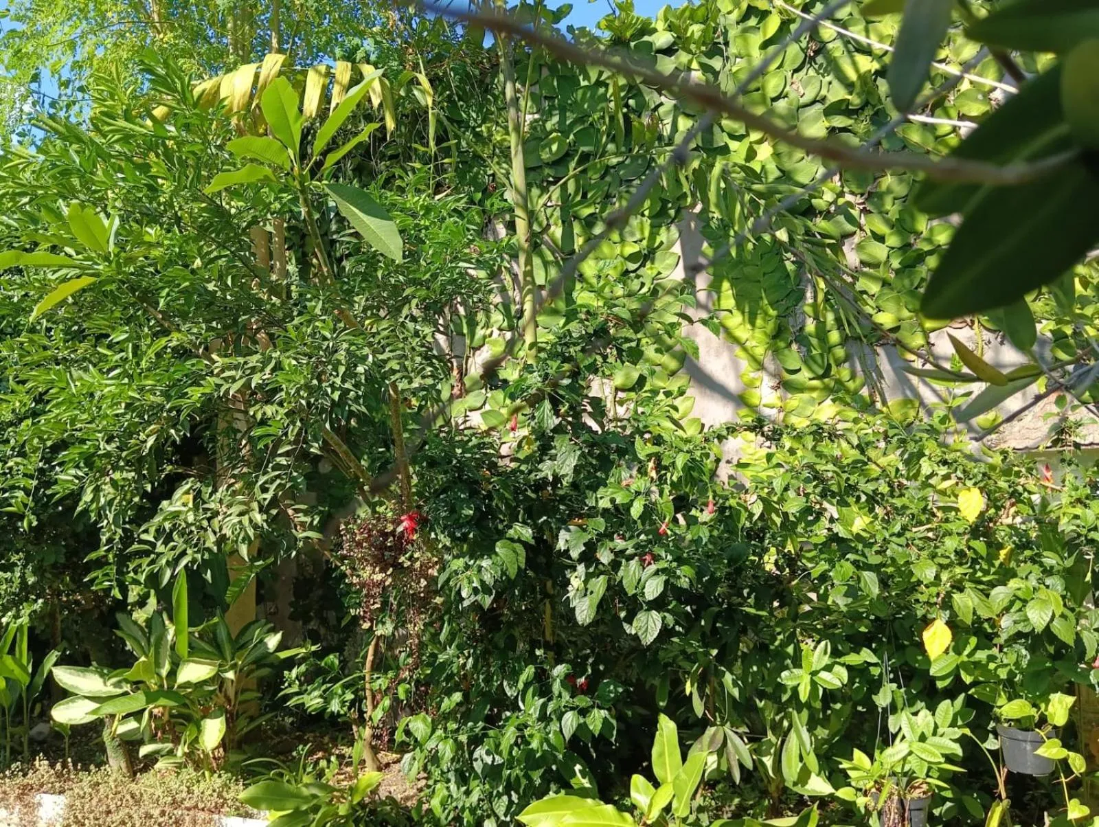 Day in Coliving Bali SWEET HOME Kost Lengkap di Tabanan Kota