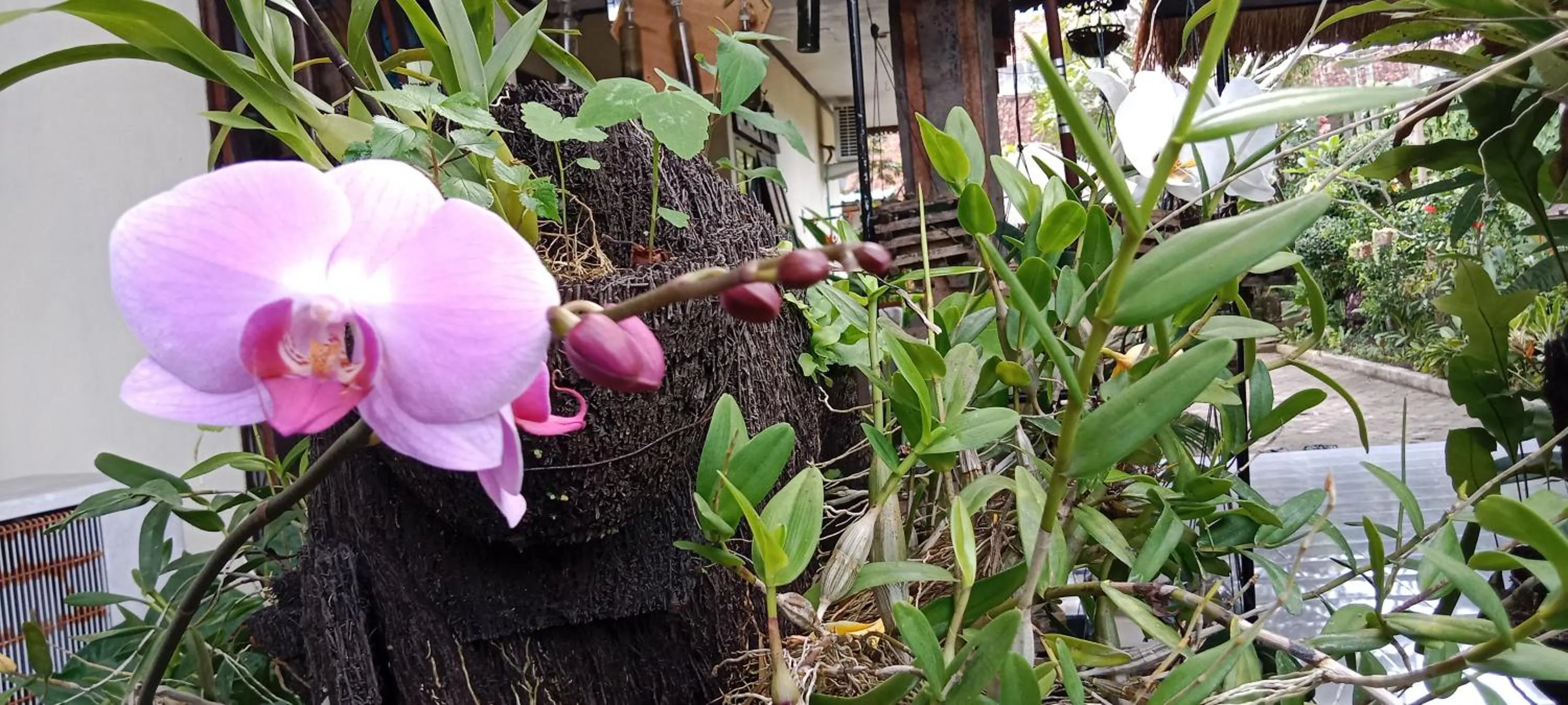 Day in Coliving Bali SWEET HOME Kost Lengkap di Tabanan Kota