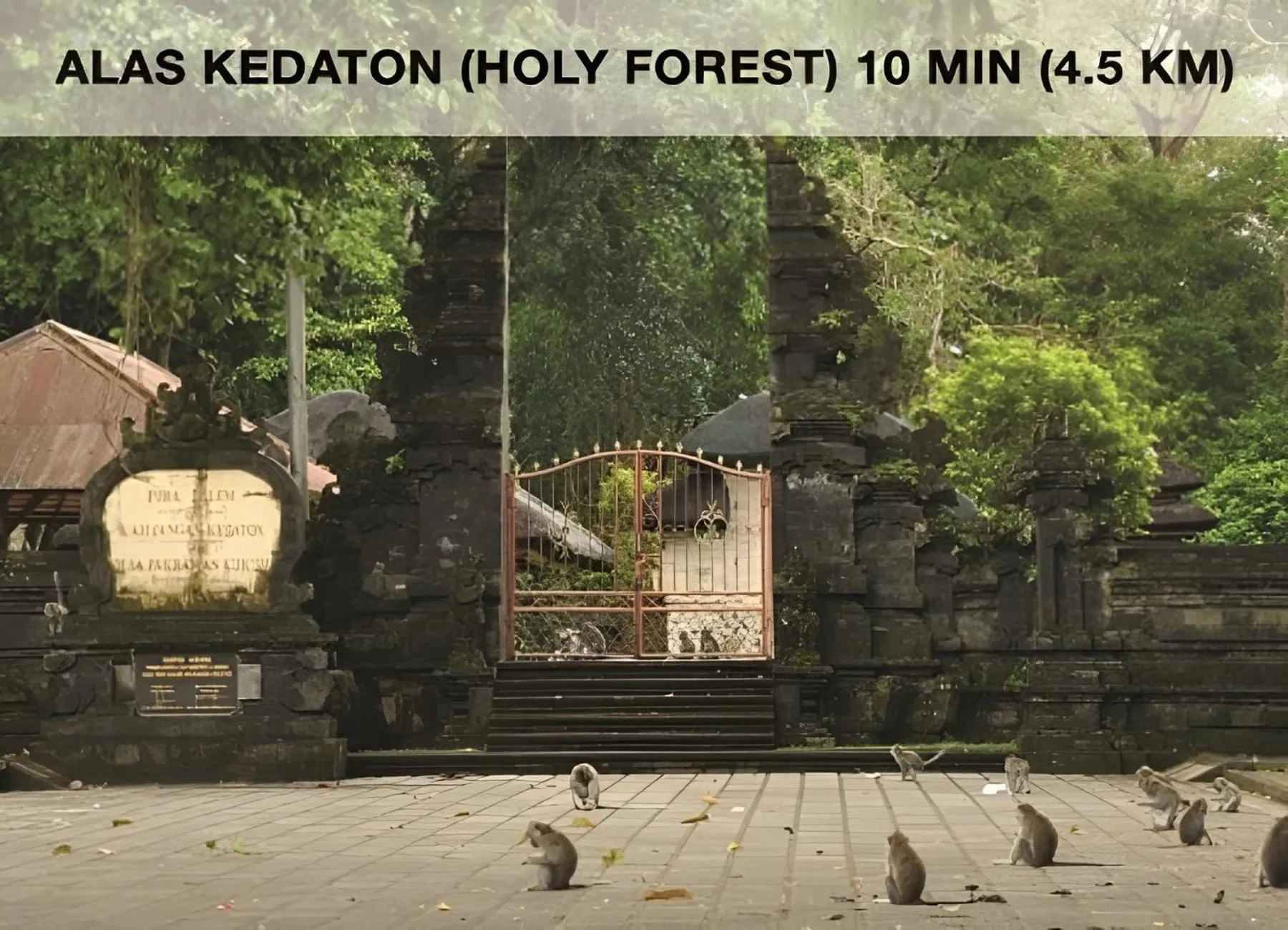 Nearby landmark in Coliving Bali SWEET HOME Kost Lengkap di Tabanan Kota