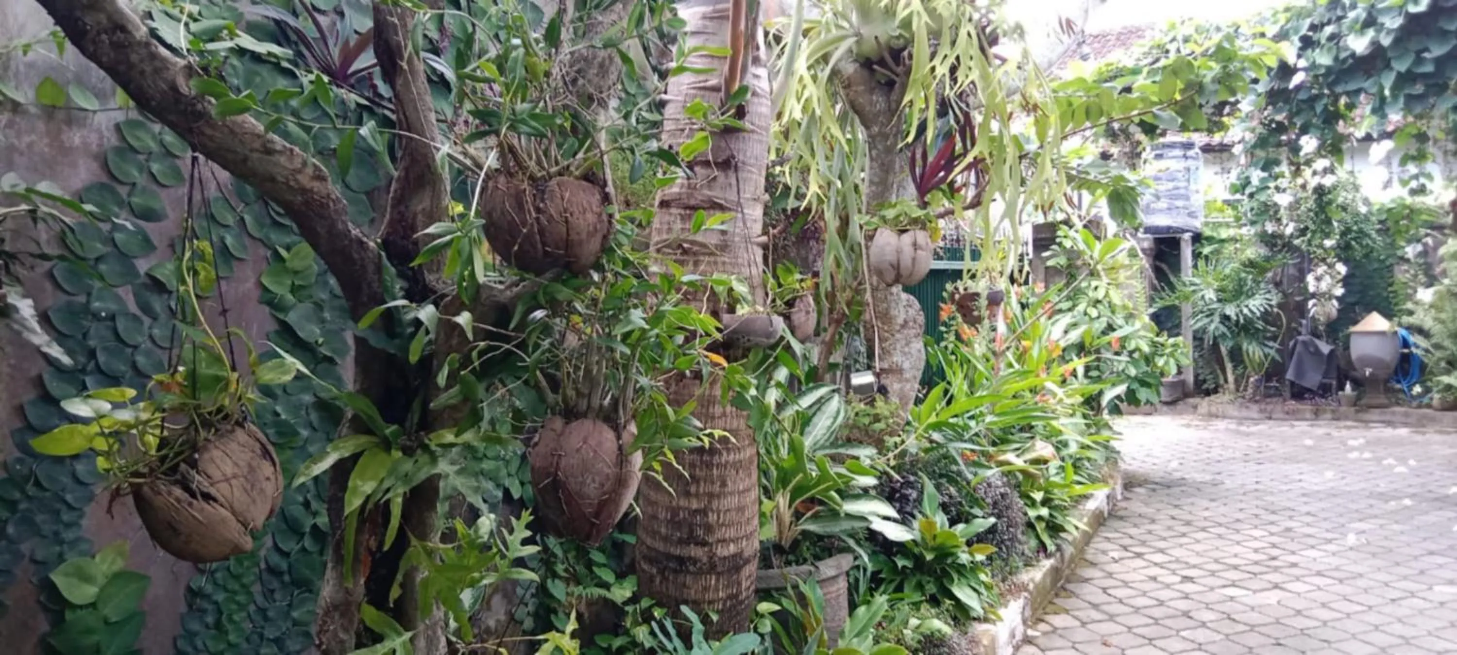 Day in Coliving Bali SWEET HOME Kost Lengkap di Tabanan Kota