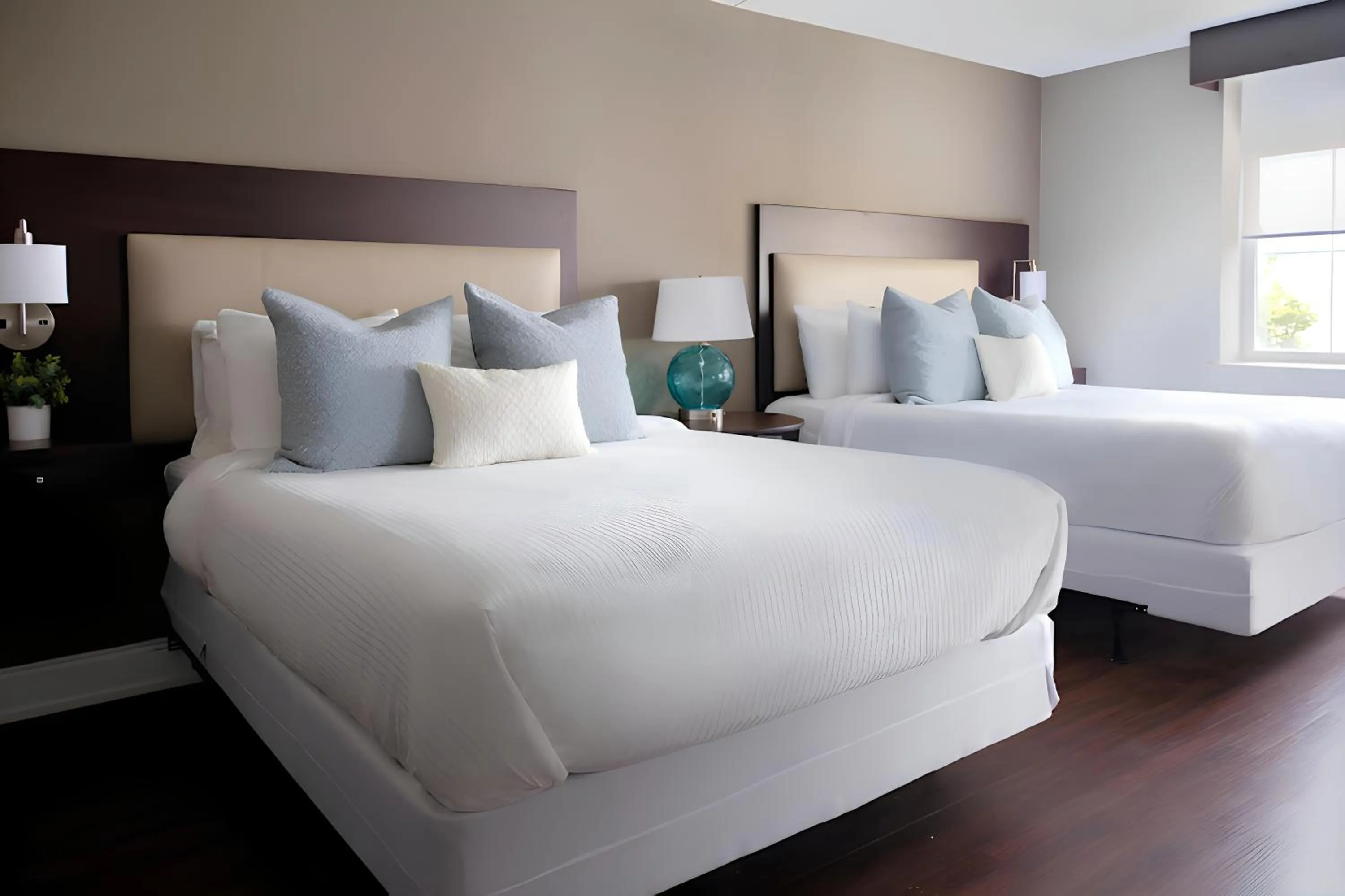 Photo of the whole room, Bed in Comfort Inn & Suites Pottstown Eastern Gateway