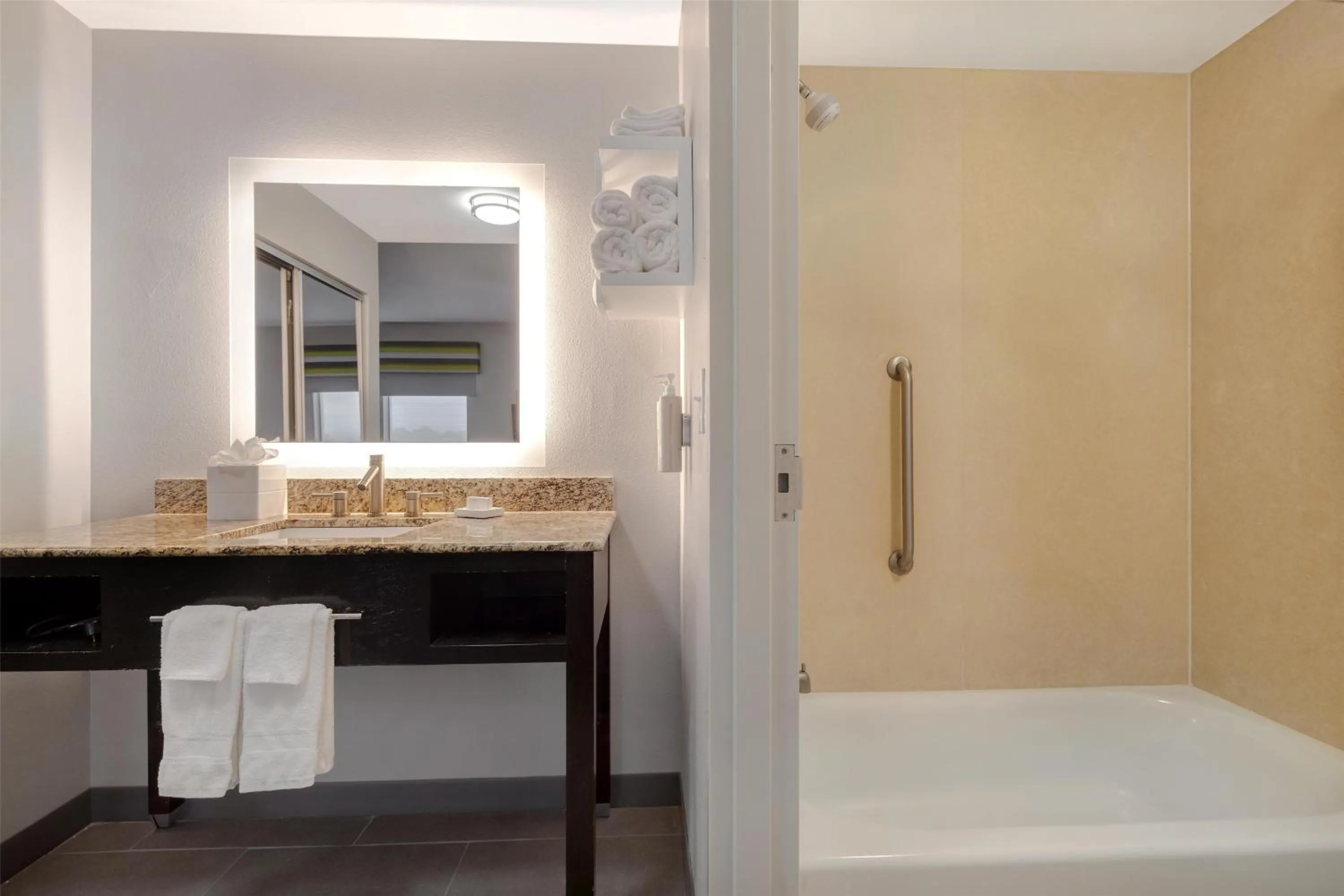 Bathroom in Hampton Inn & Suites Shreveport