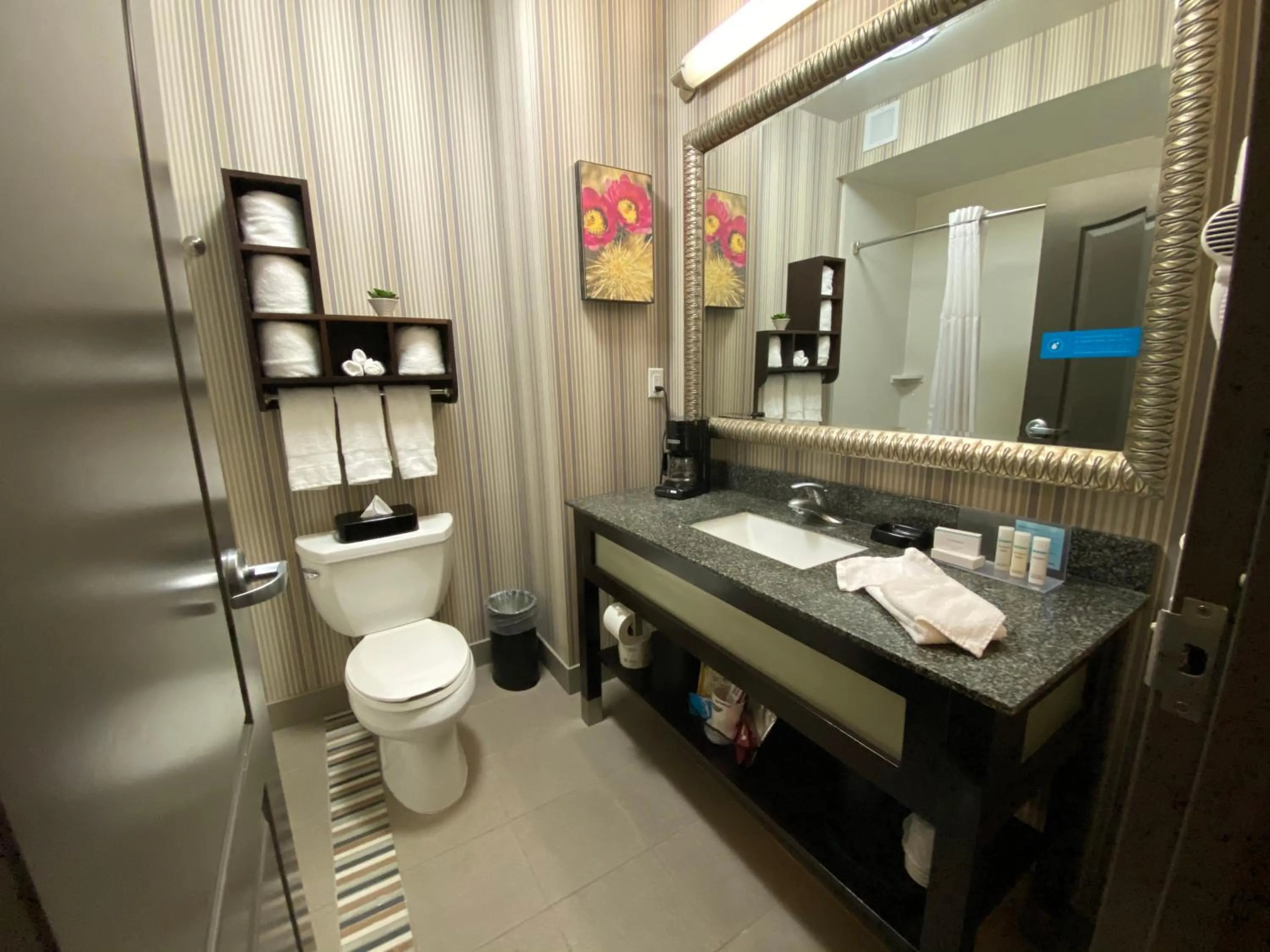 Bathroom in Hampton Inn by Hilton Leesville Fort Johnson