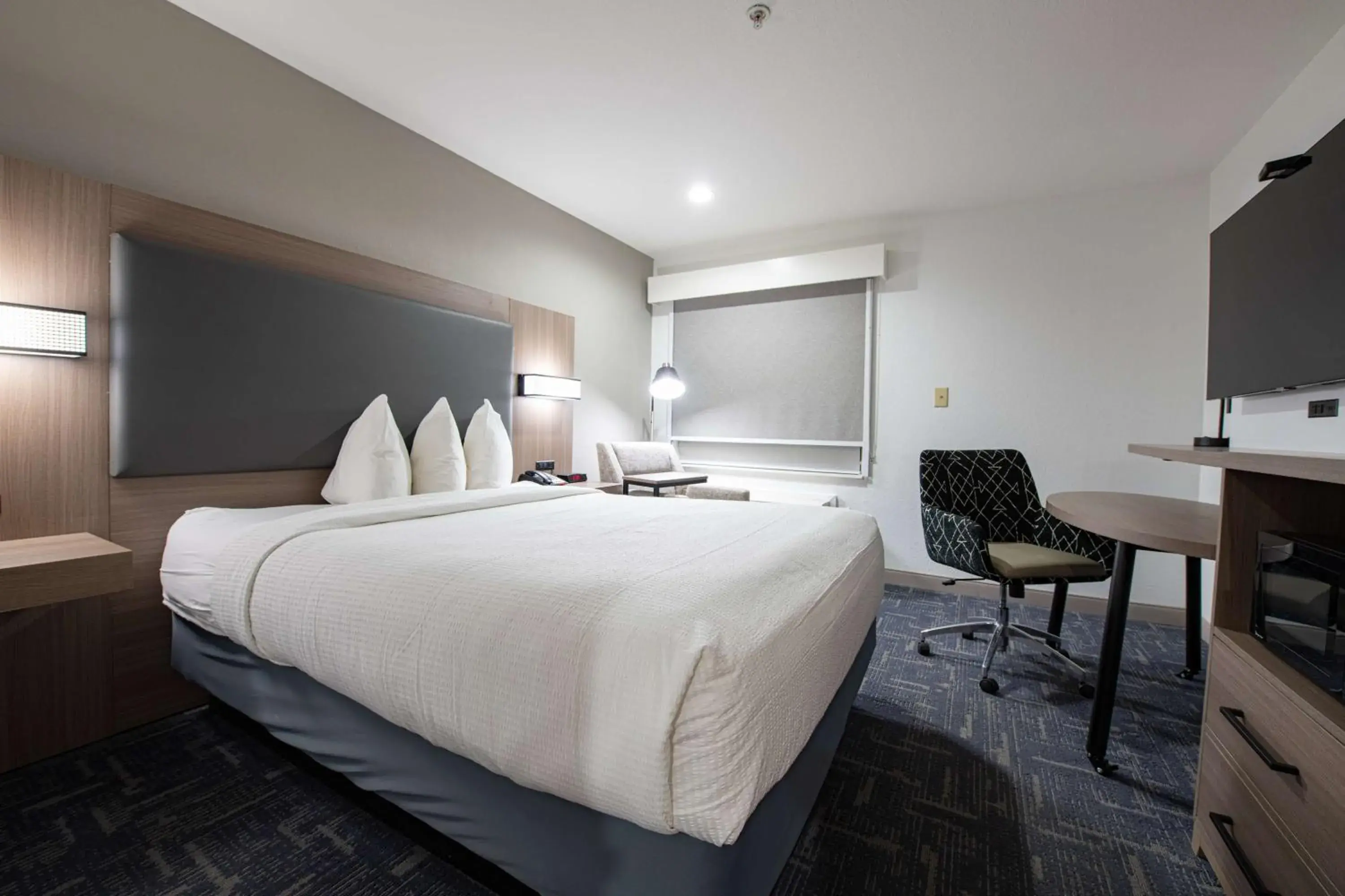 Queen Room with Roll in Shower in Best Western Lafayette Inn Queen Room with Roll in Shower in Best Western Lafayette Inn