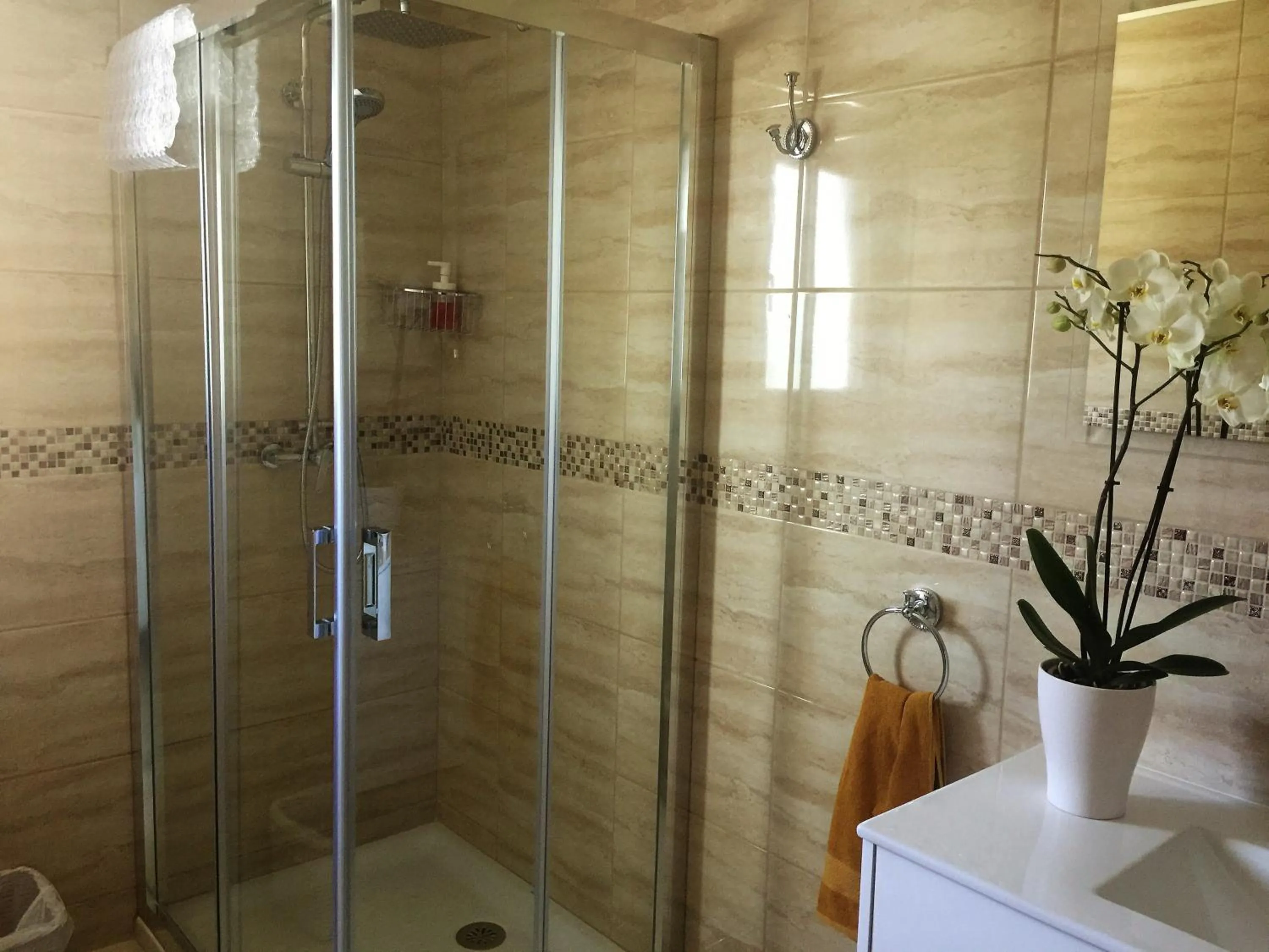 Shower in Casa las Torres B&B