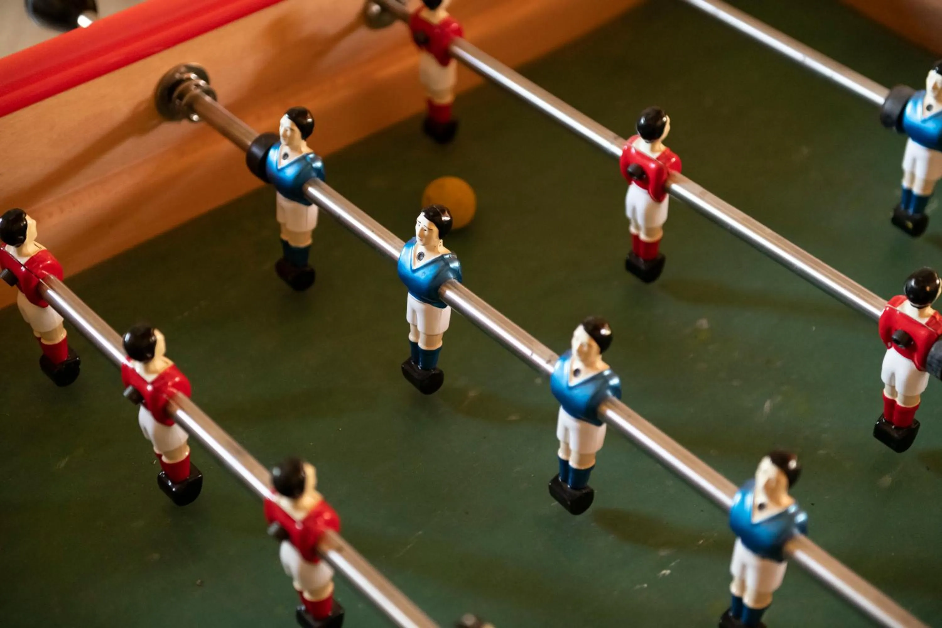 Activities in Maison Le Sèpe - Vignoble Bio et Maison d'hôtes