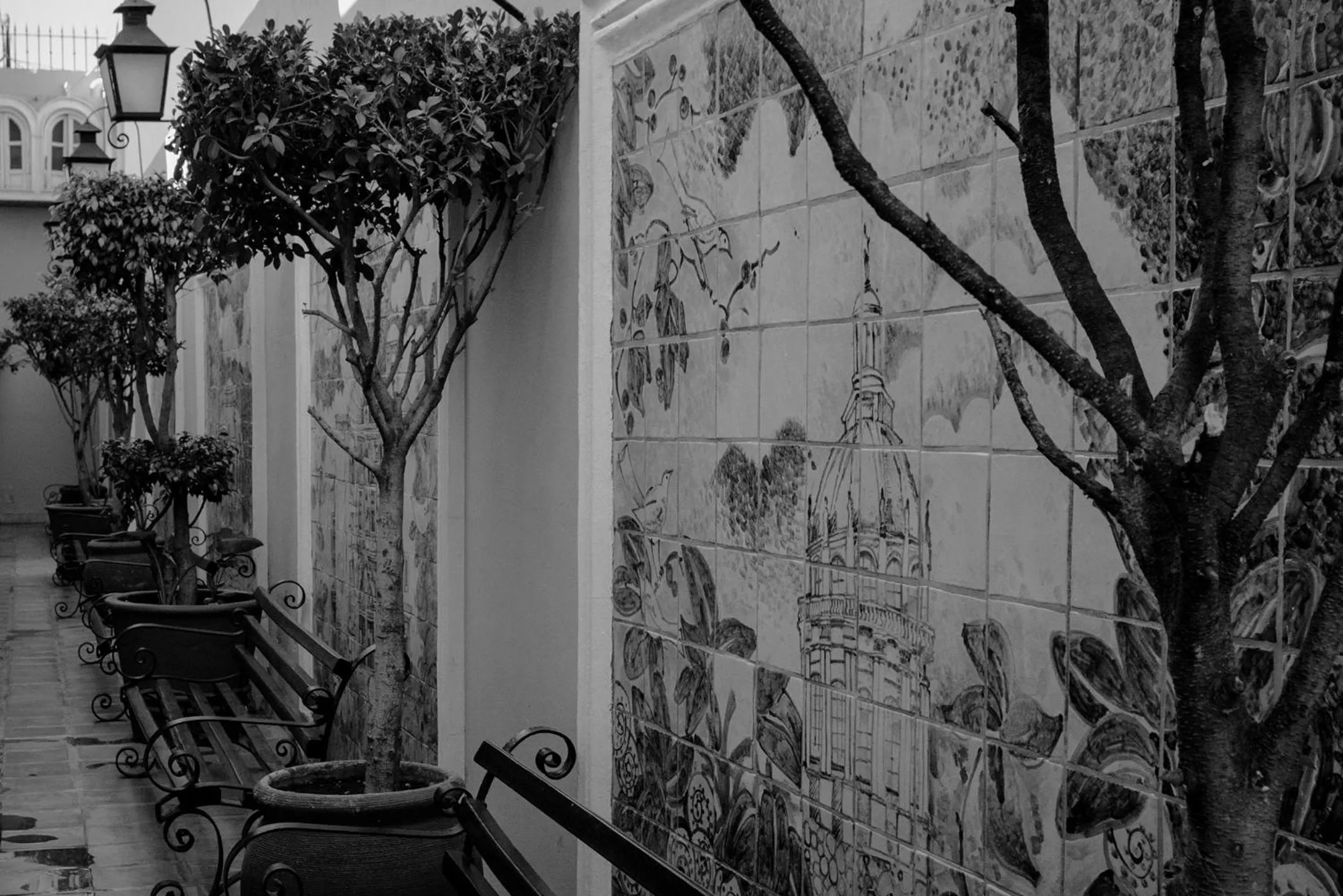 Patio in Hotel La Morada