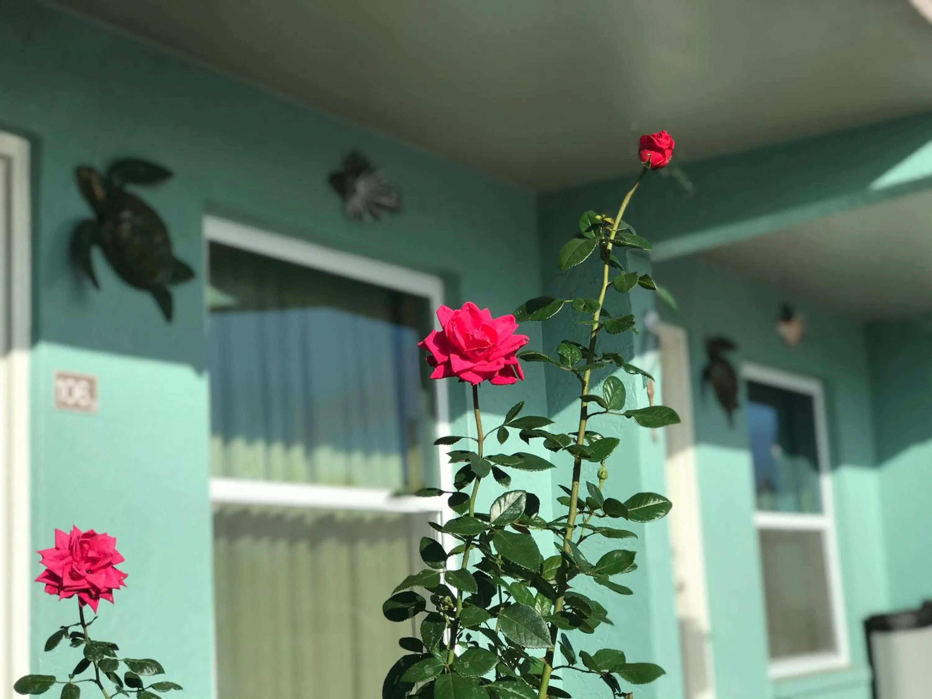 Property building in Immokalee Inn