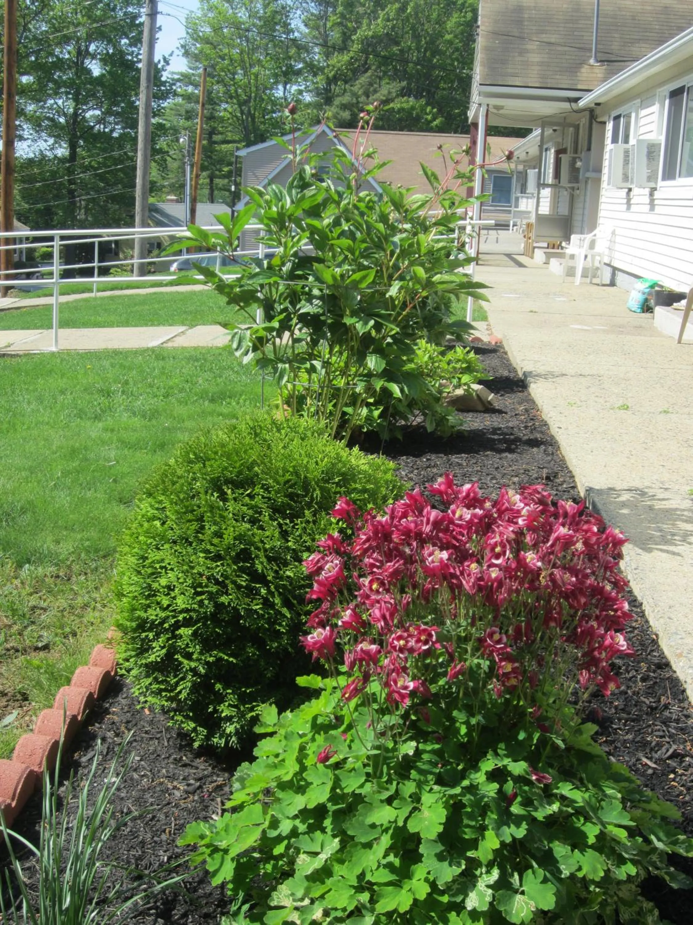Decorative detail in Northeaster Motel