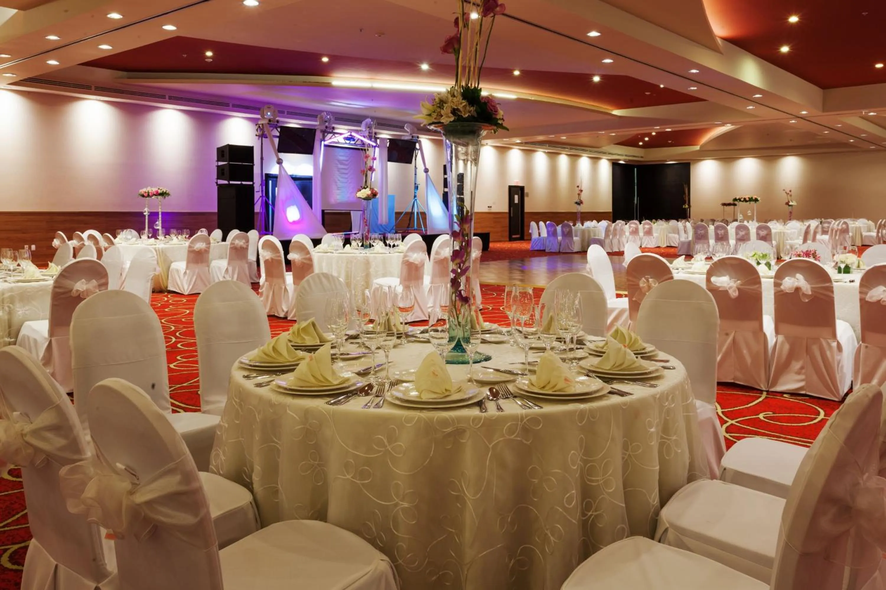Banquet/Function facilities in Holiday Inn Tuxpan - Convention Center by IHG