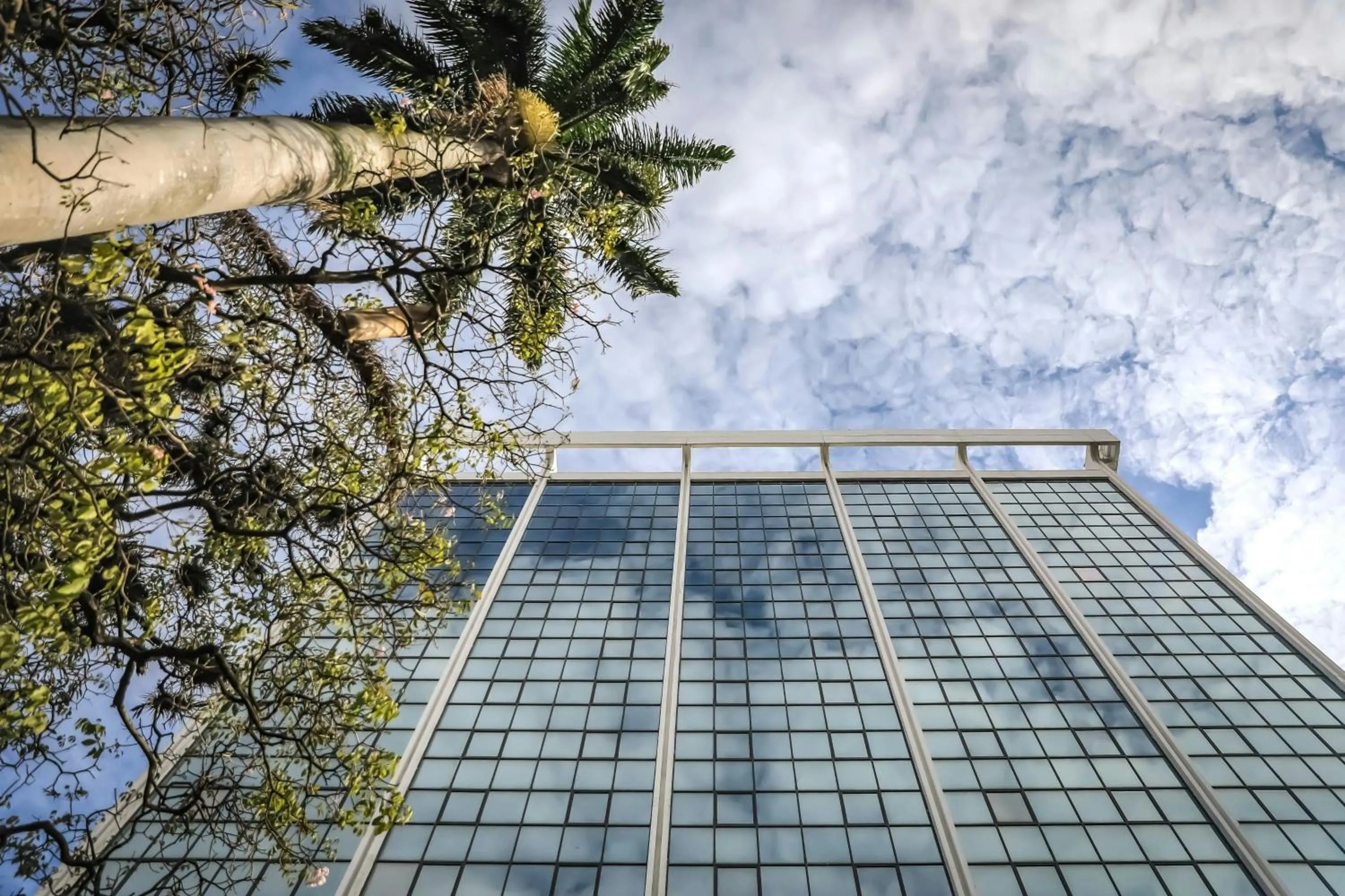 View (from property/room) in Delta Hotels by Marriott San Jose Aurola