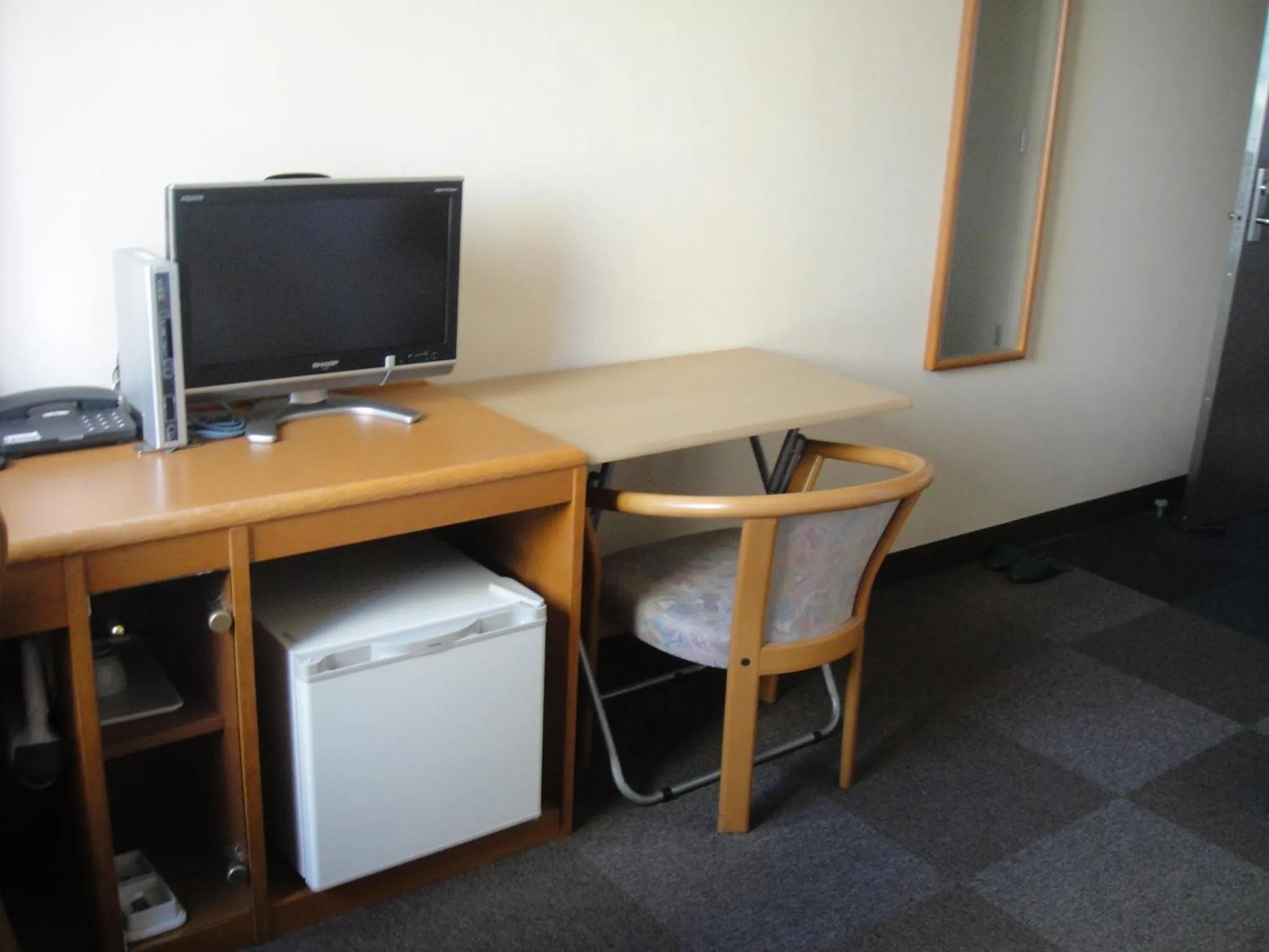 TV and multimedia in Hotel New Shizuoka