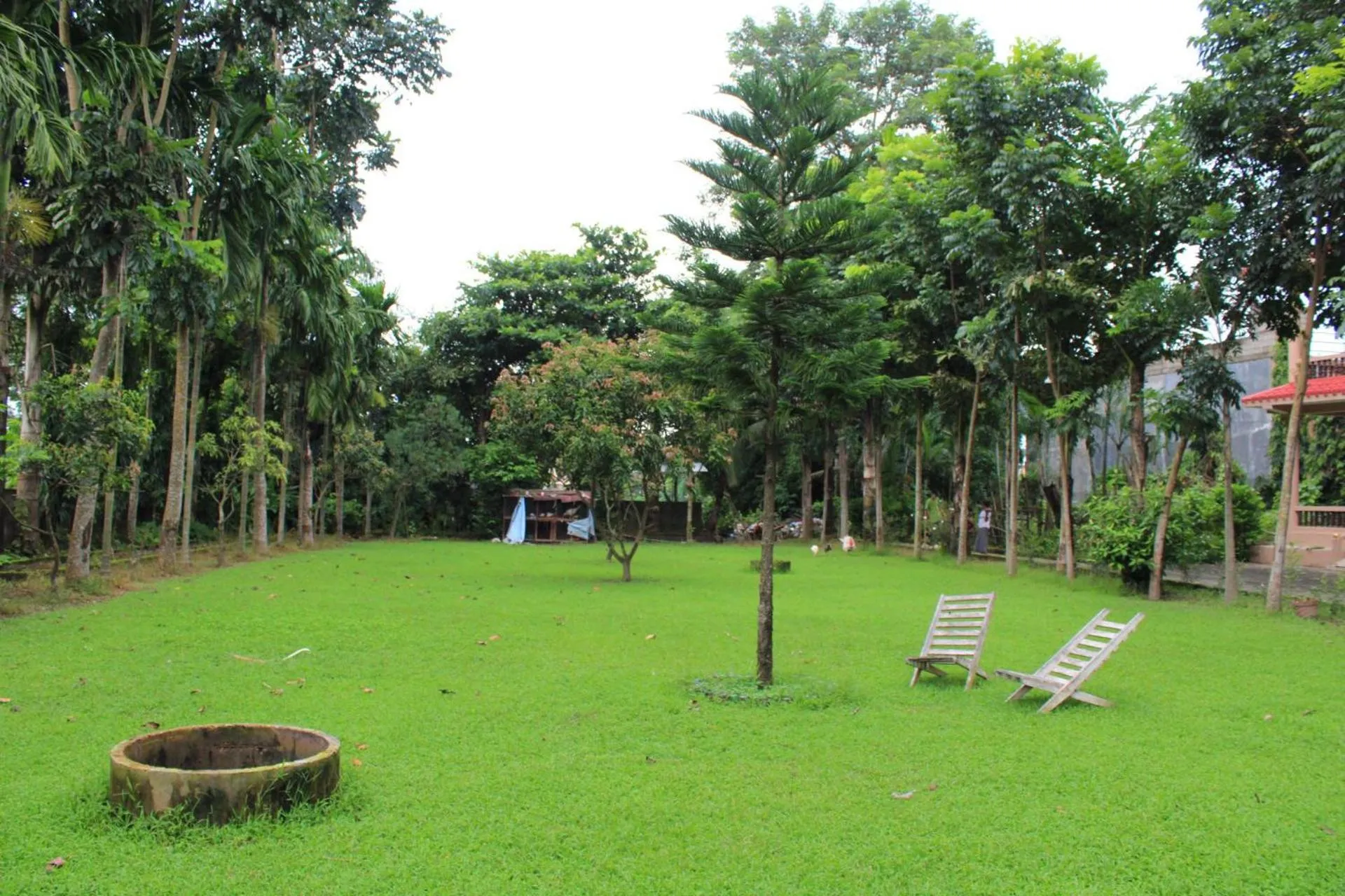 Natural landscape in Chitwan Forest Resort with swimming pool , Chitwan National Park