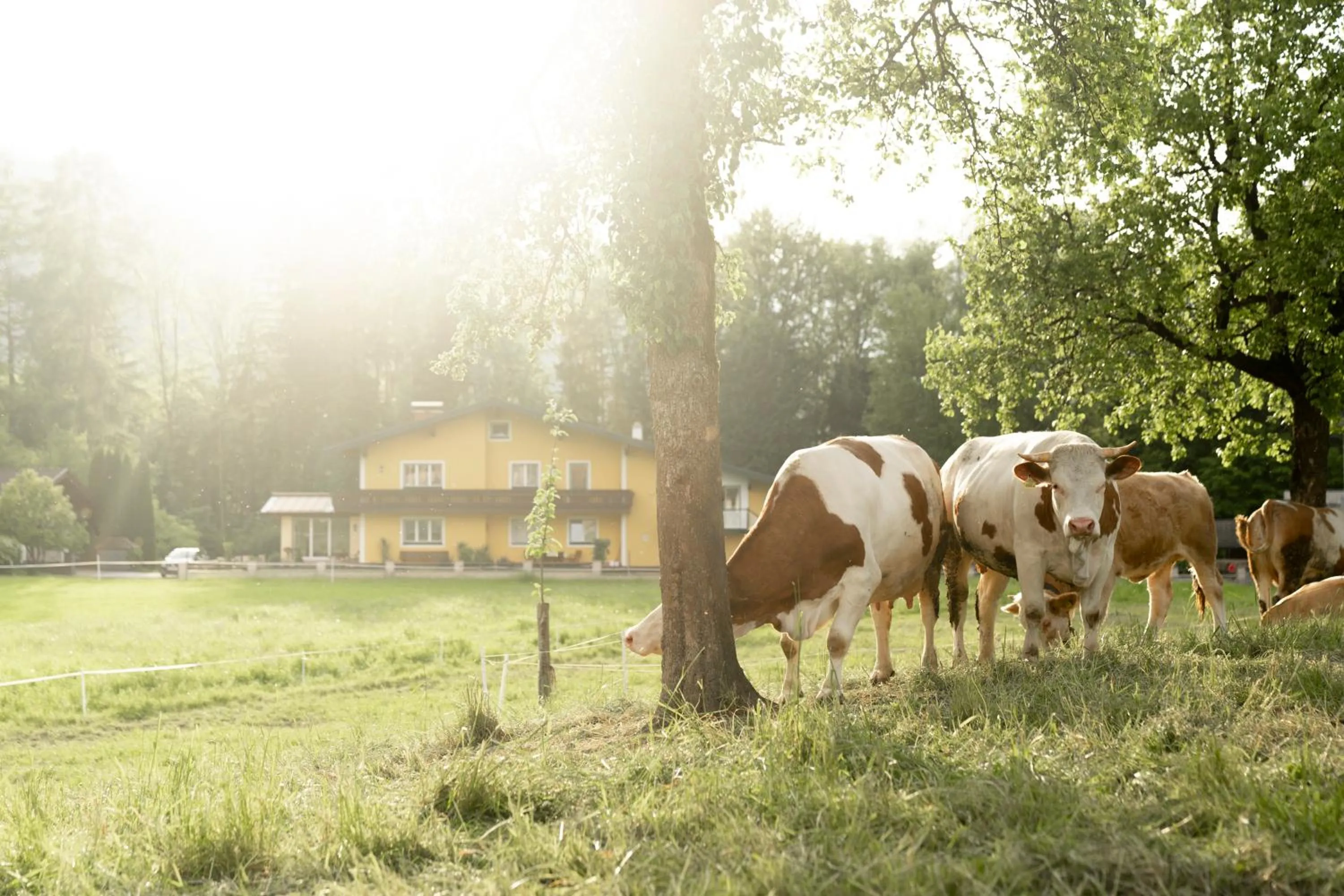 Garden in Langwies Genussherberge