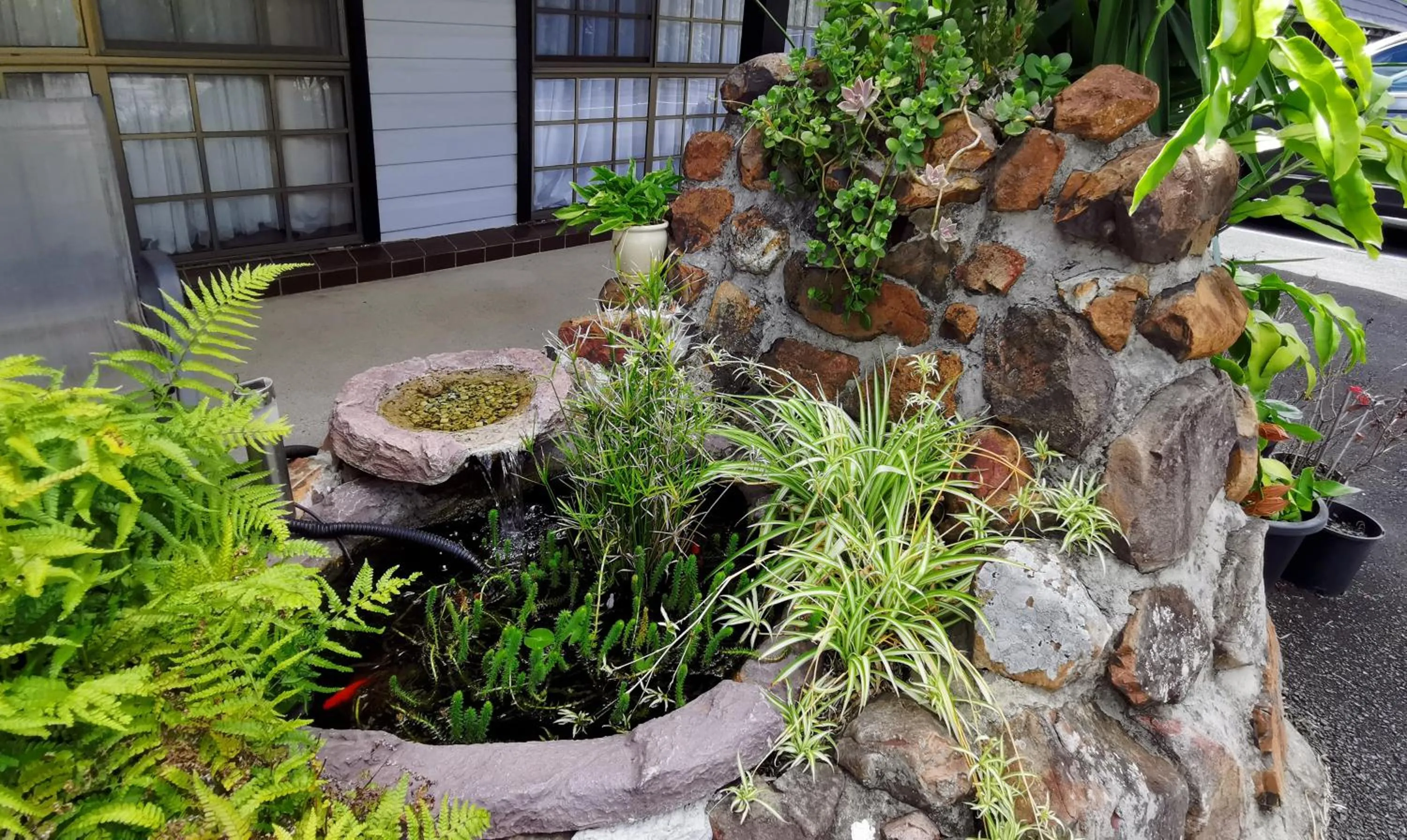 Garden in Highway Motor Inn Taree