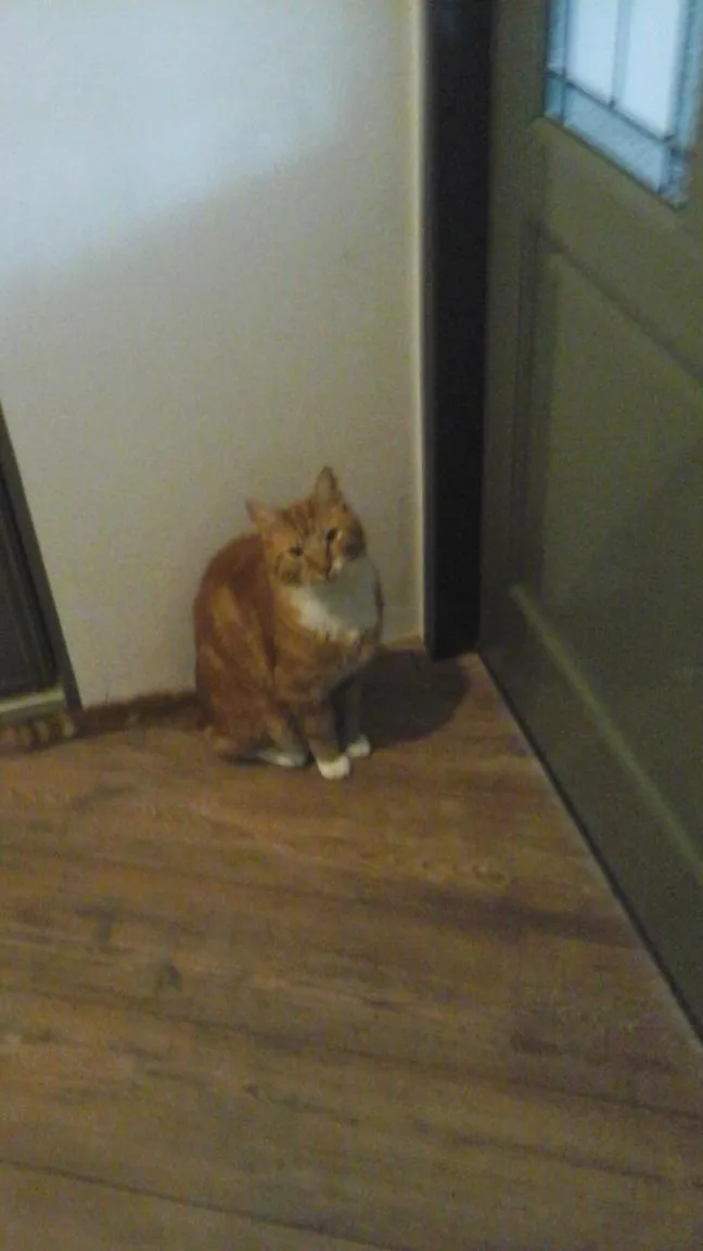 Property building in Bed and breakfast devijfbees