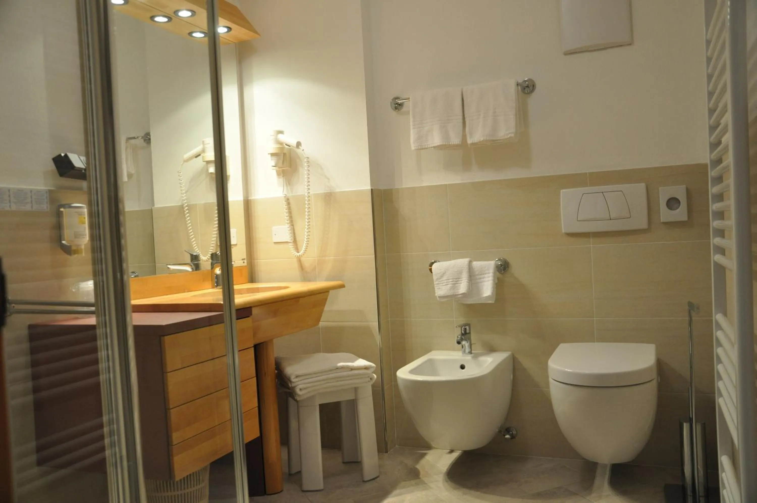 Toilet in Alpen Family Hotel Someda