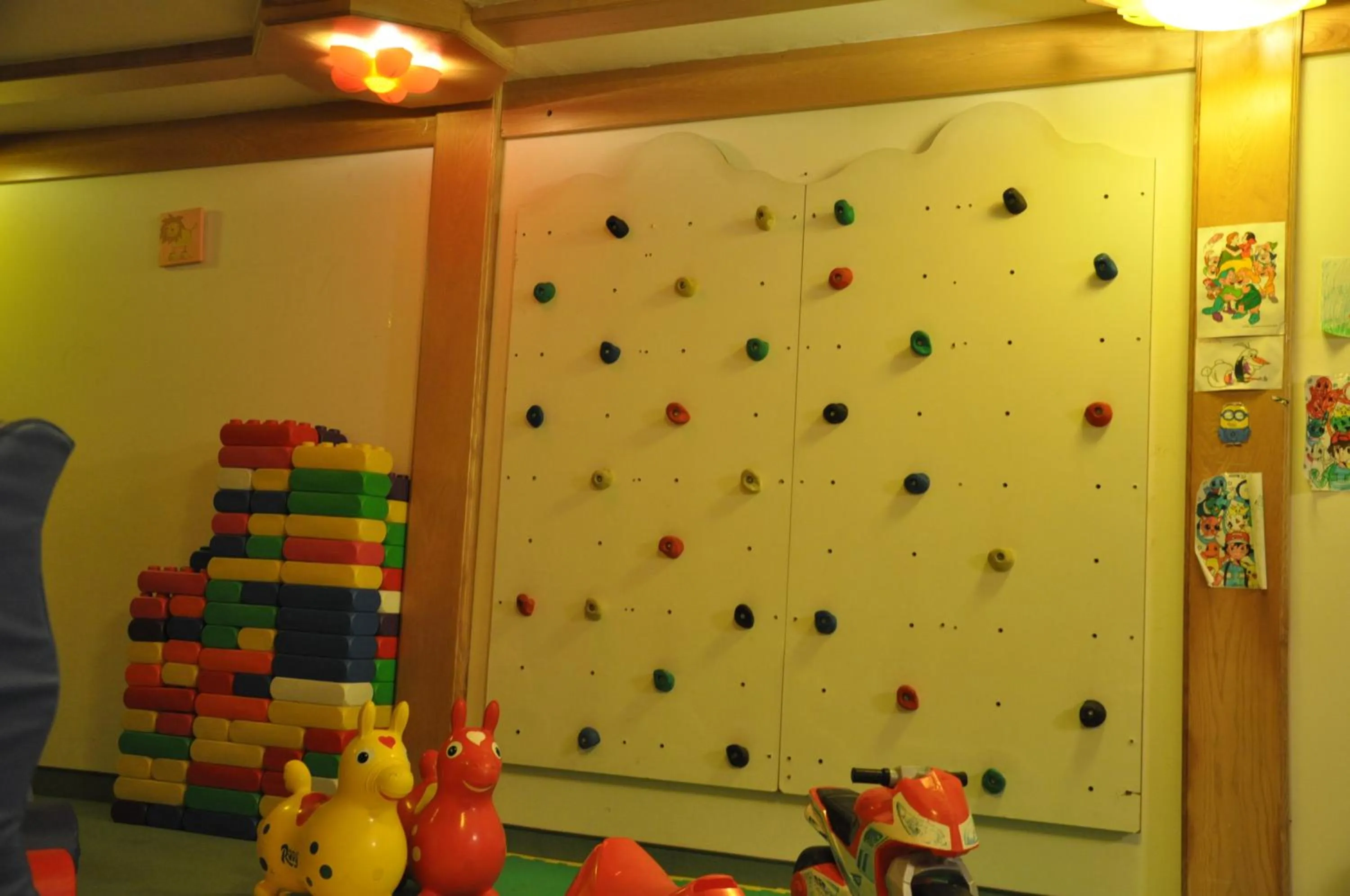 Kids's club in Alpen Family Hotel Someda